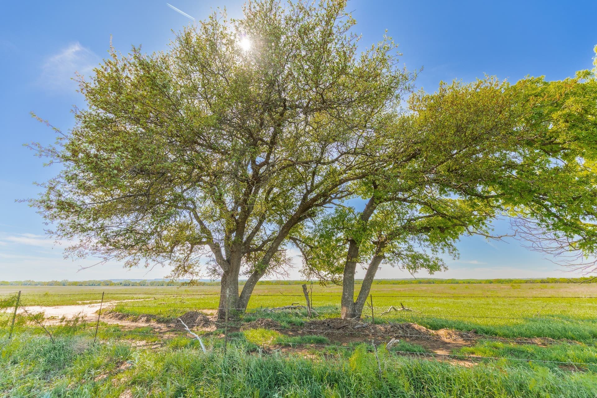 1,055 acres in Coleman County - photo 15
