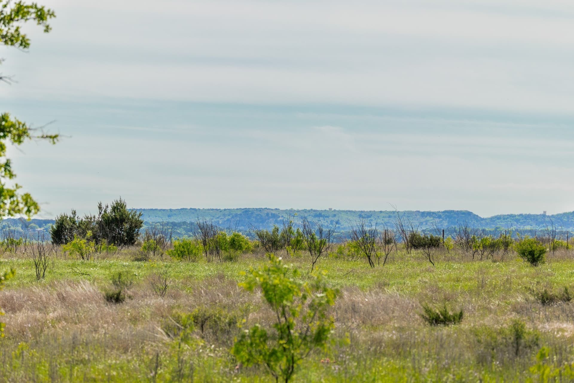 1,055 acres in Coleman County - photo 22