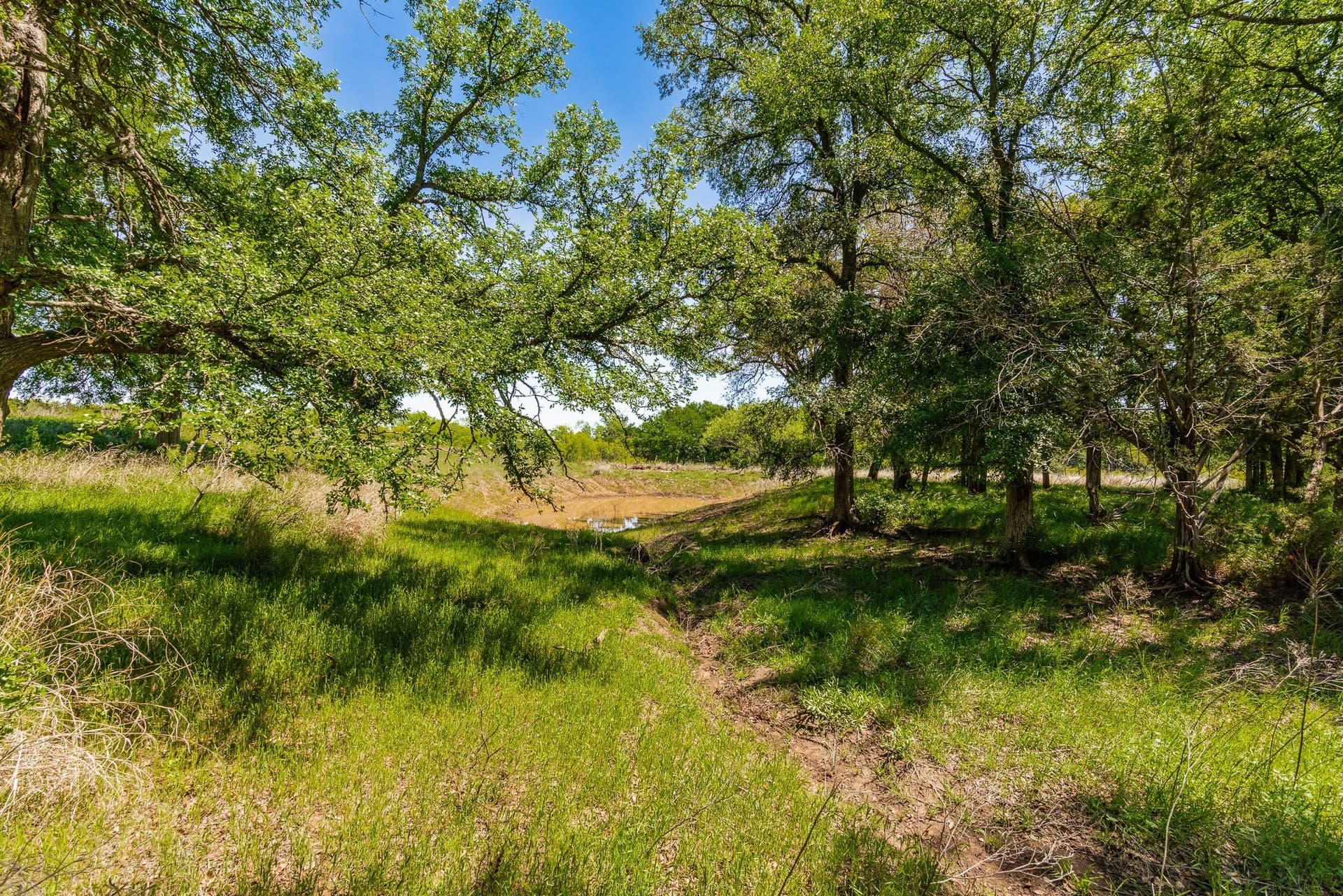 1,055 acres in Coleman County - photo 14