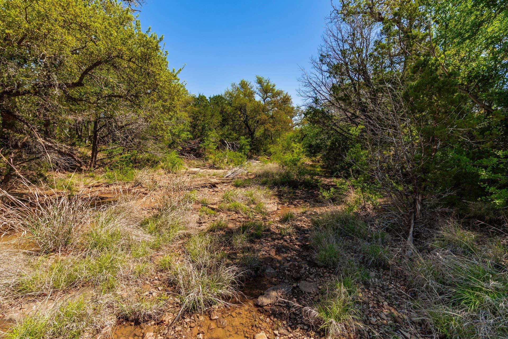 1,055 acres in Coleman County - photo 11