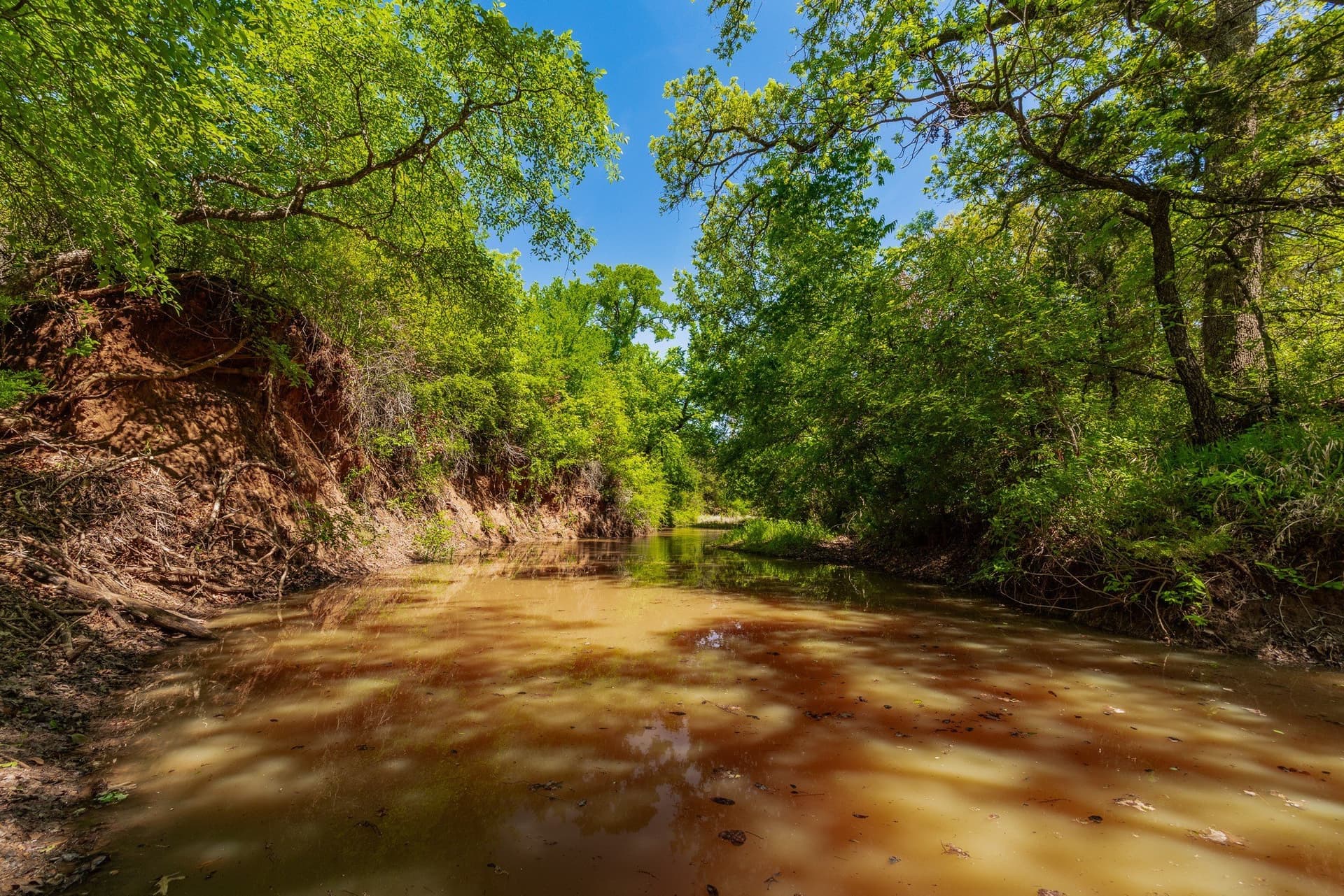 1,055 acres in Coleman County - photo 13