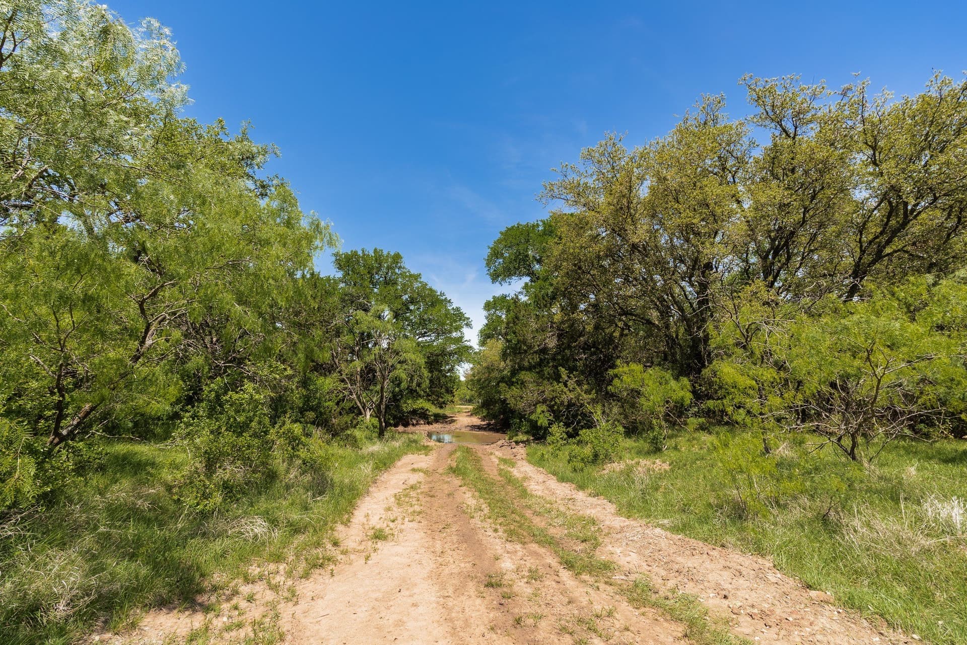 1,055 acres in Coleman County - photo 25