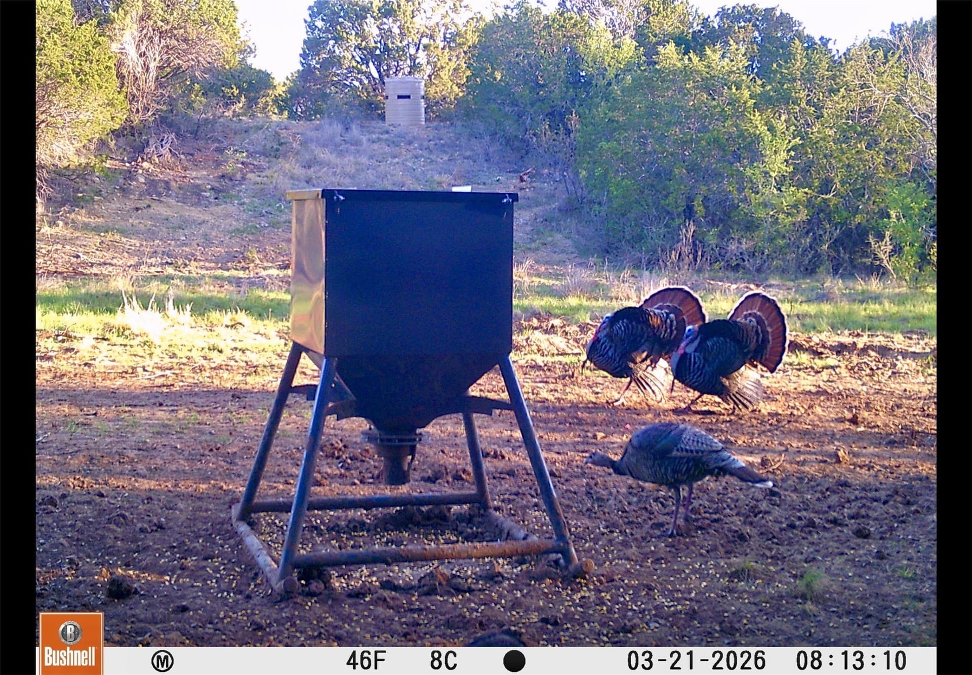 1,055 acres in Coleman County - photo 26