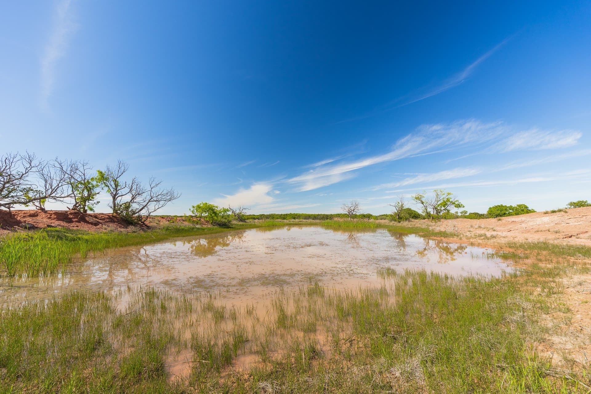 1,055 acres in Coleman County - photo 8