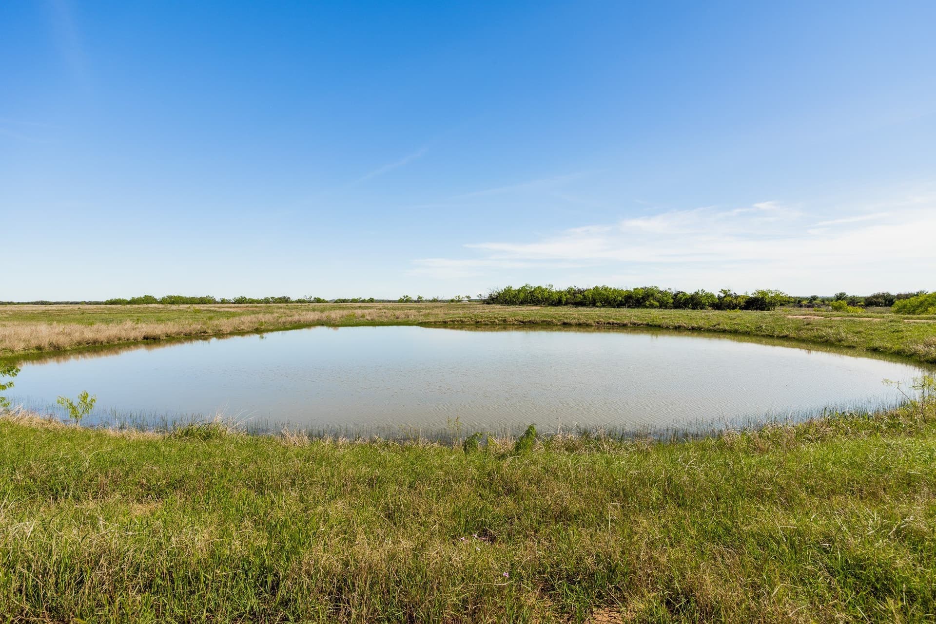 1,055 acres in Coleman County - photo 9