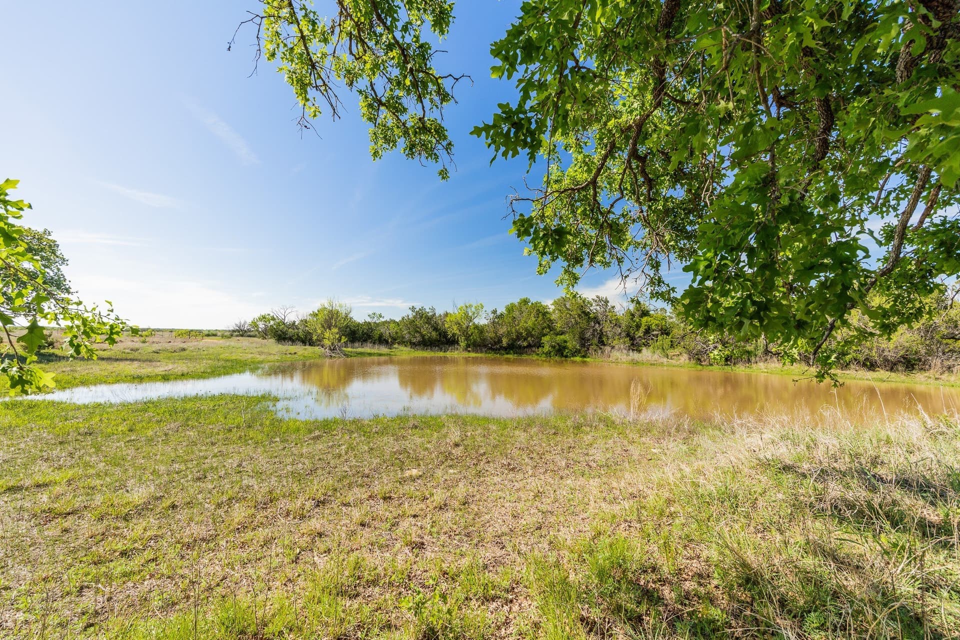 1,055 acres in Coleman County - photo 20