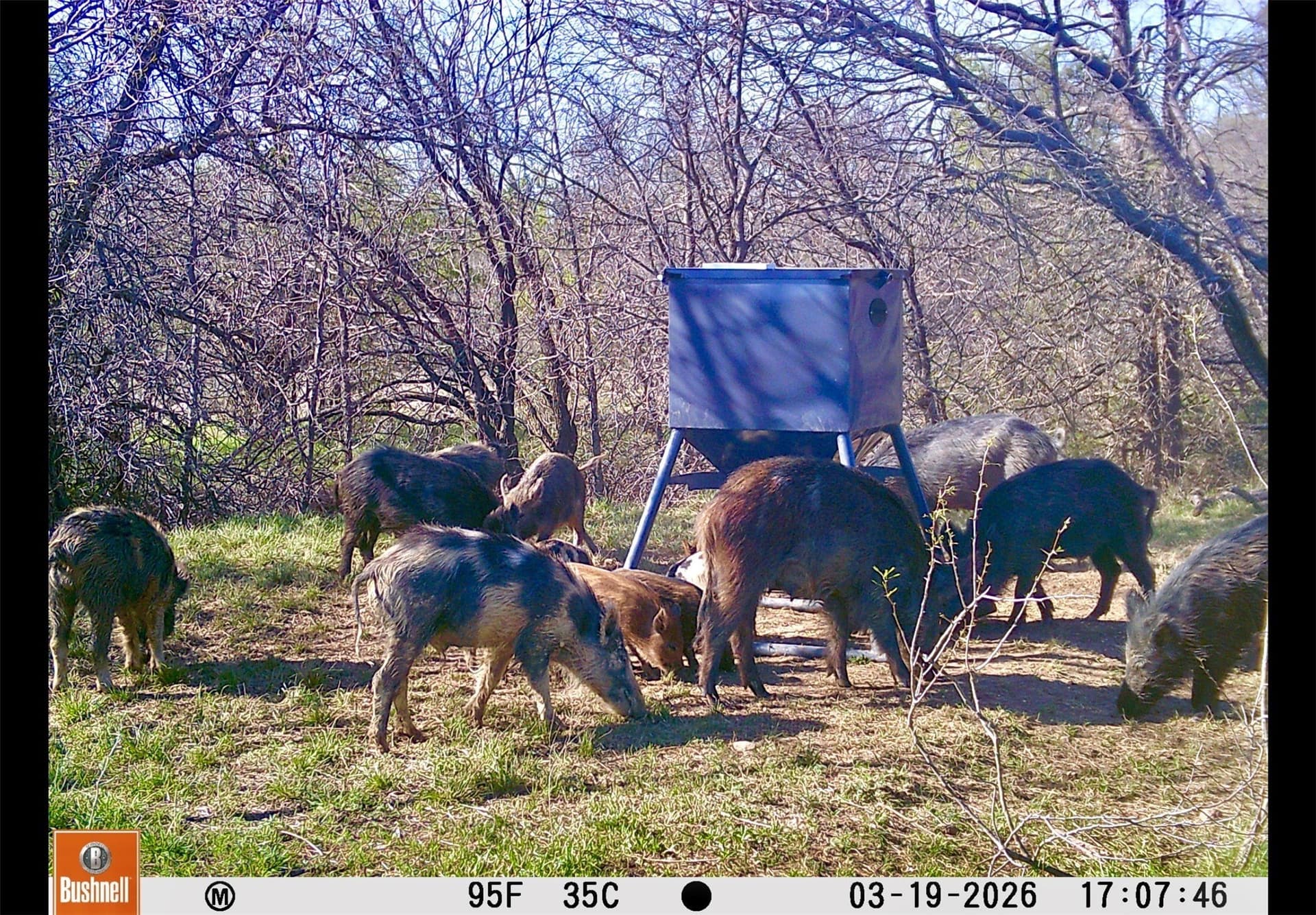 1,055 acres in Coleman County - photo 28