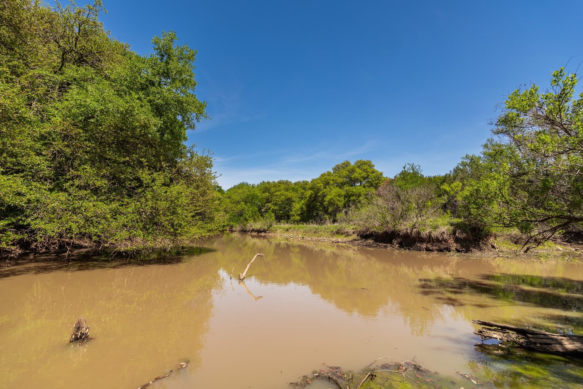 1,055 acres in Coleman County - photo 12