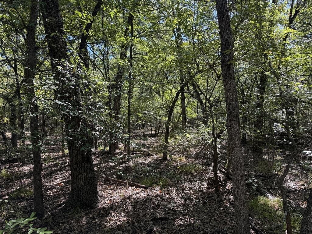 5 acres in Kaufman County - photo 7