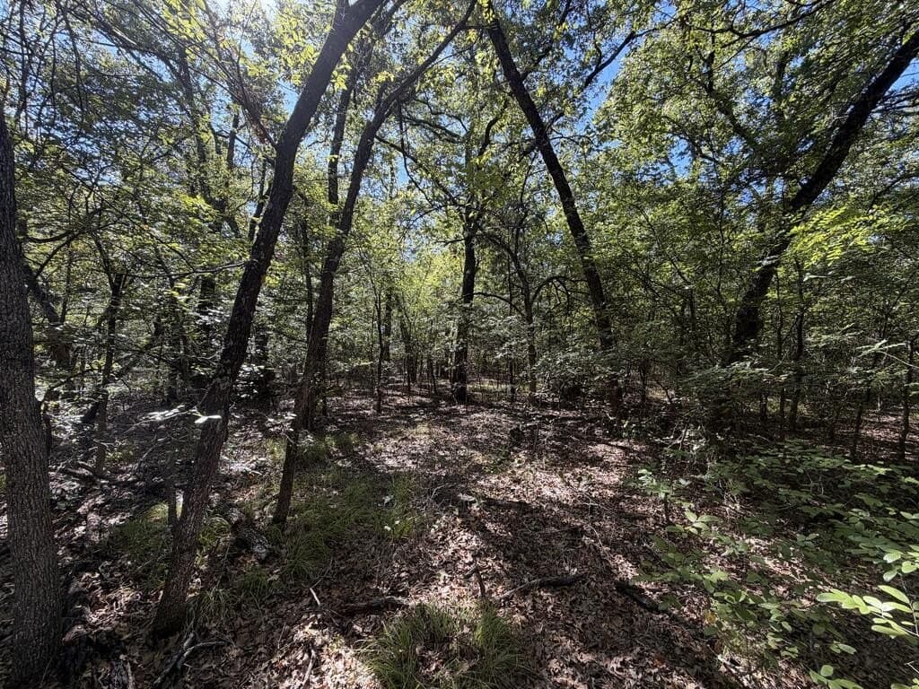 5 acres in Kaufman County - photo 13