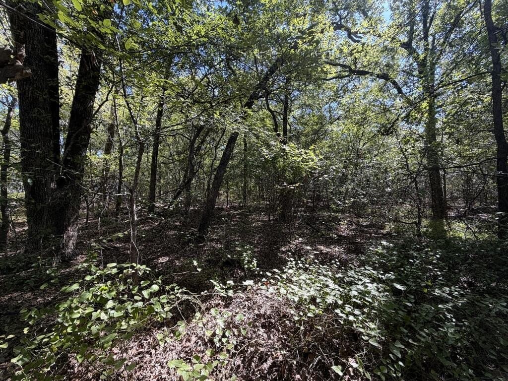 5 acres in Kaufman County - photo 18