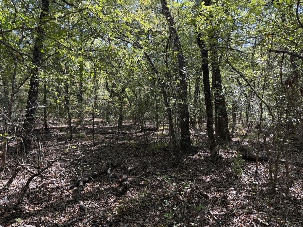 5 acres in Kaufman County - photo 6