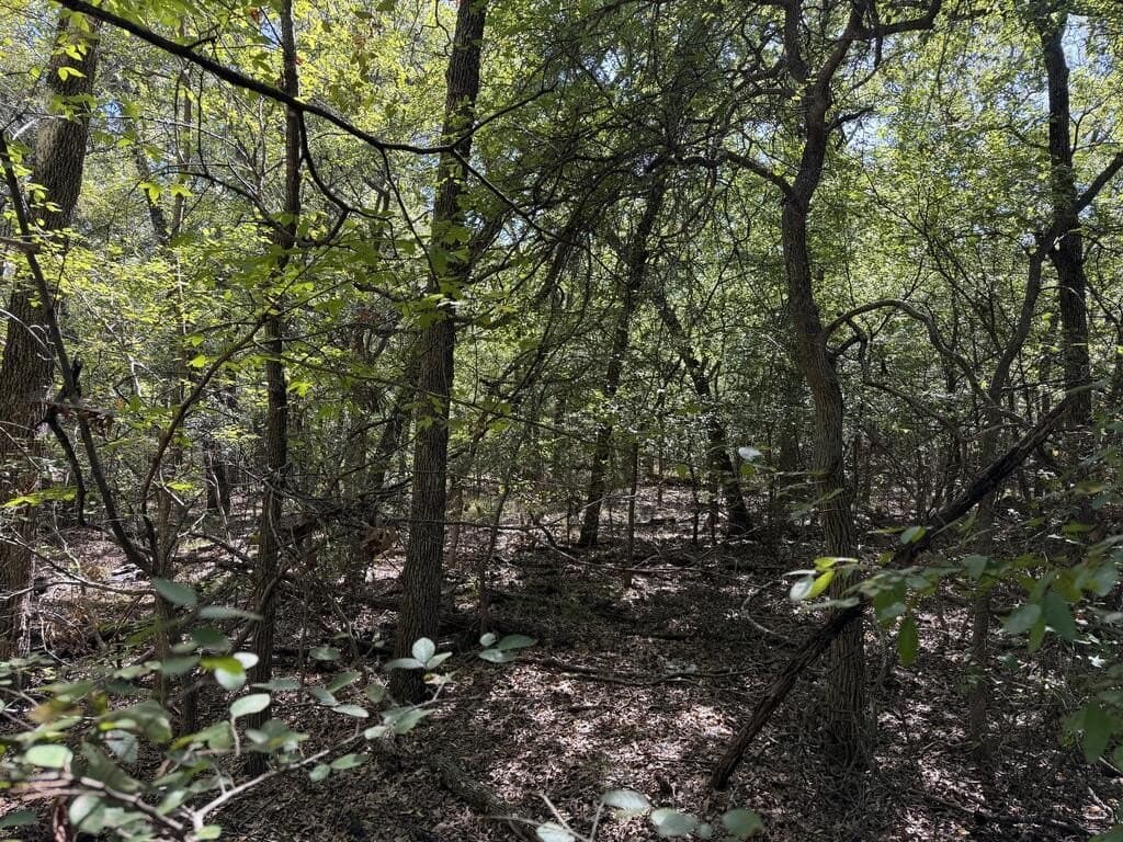 5 acres in Kaufman County - photo 19