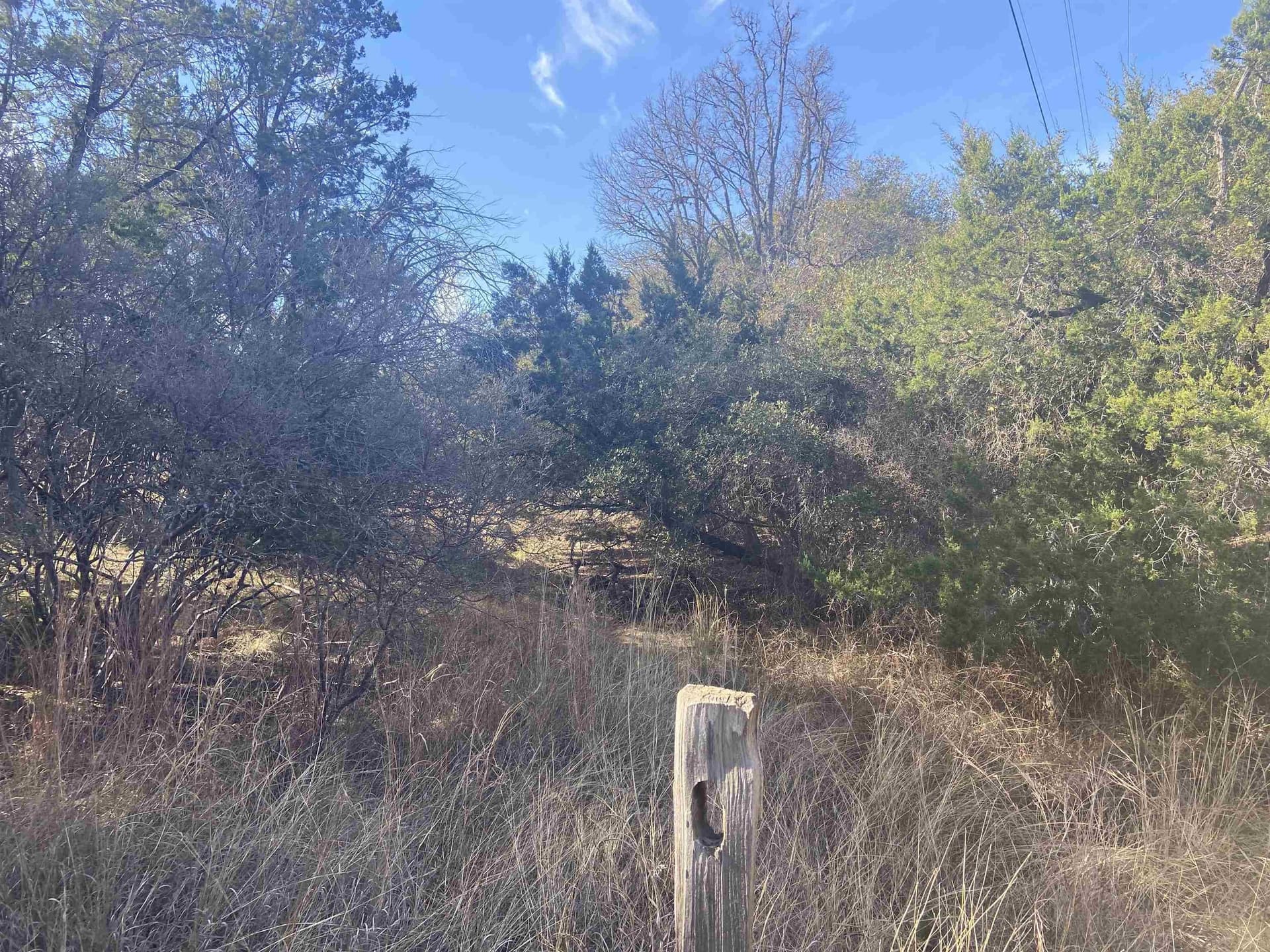 0.22 acres in Burnet County - photo 6