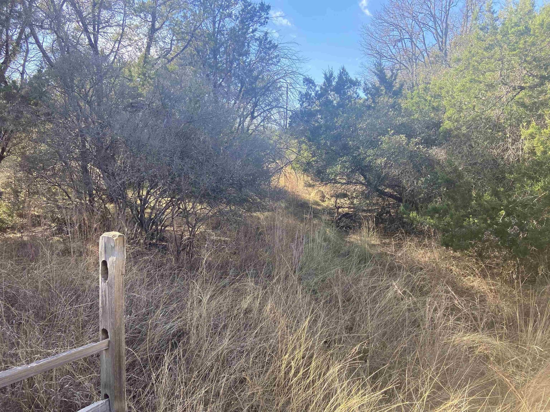 0.22 acres in Burnet County gallery image 2