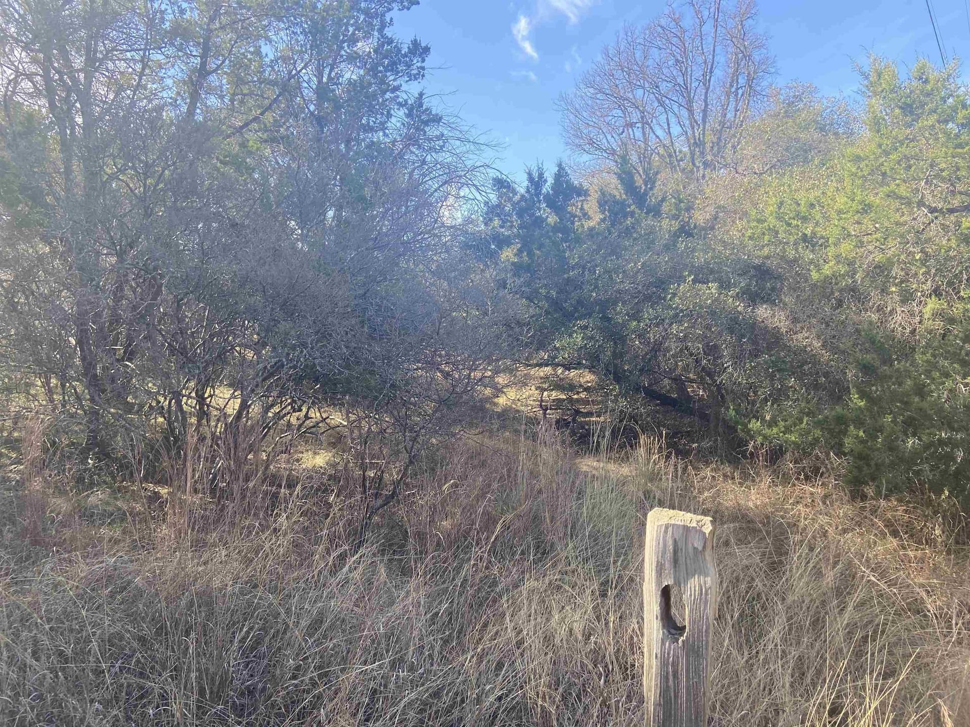 0.22 acres in Burnet County featured view