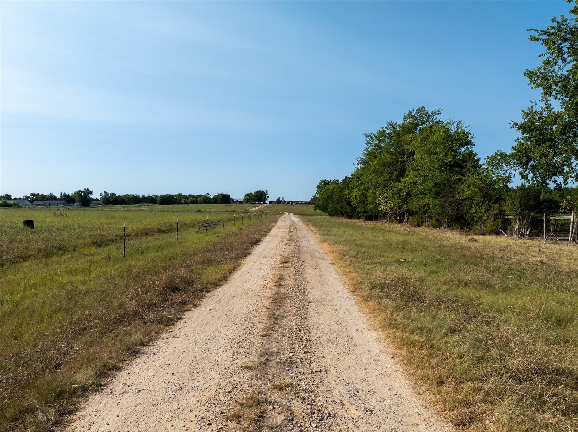 19.5 acres in Lamar County - photo 6