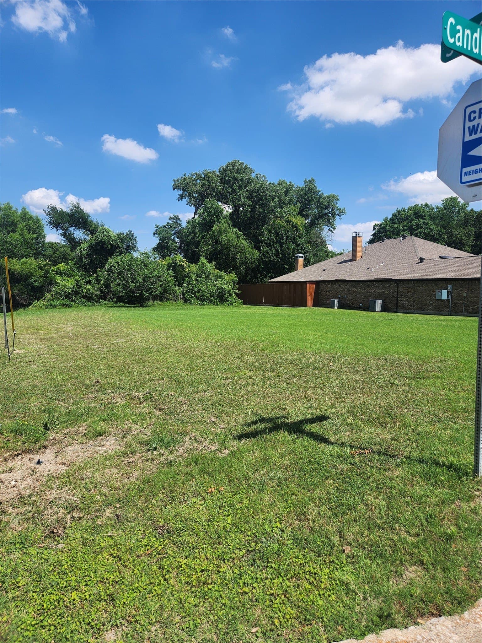 0.29 acres in Dallas County gallery image 3