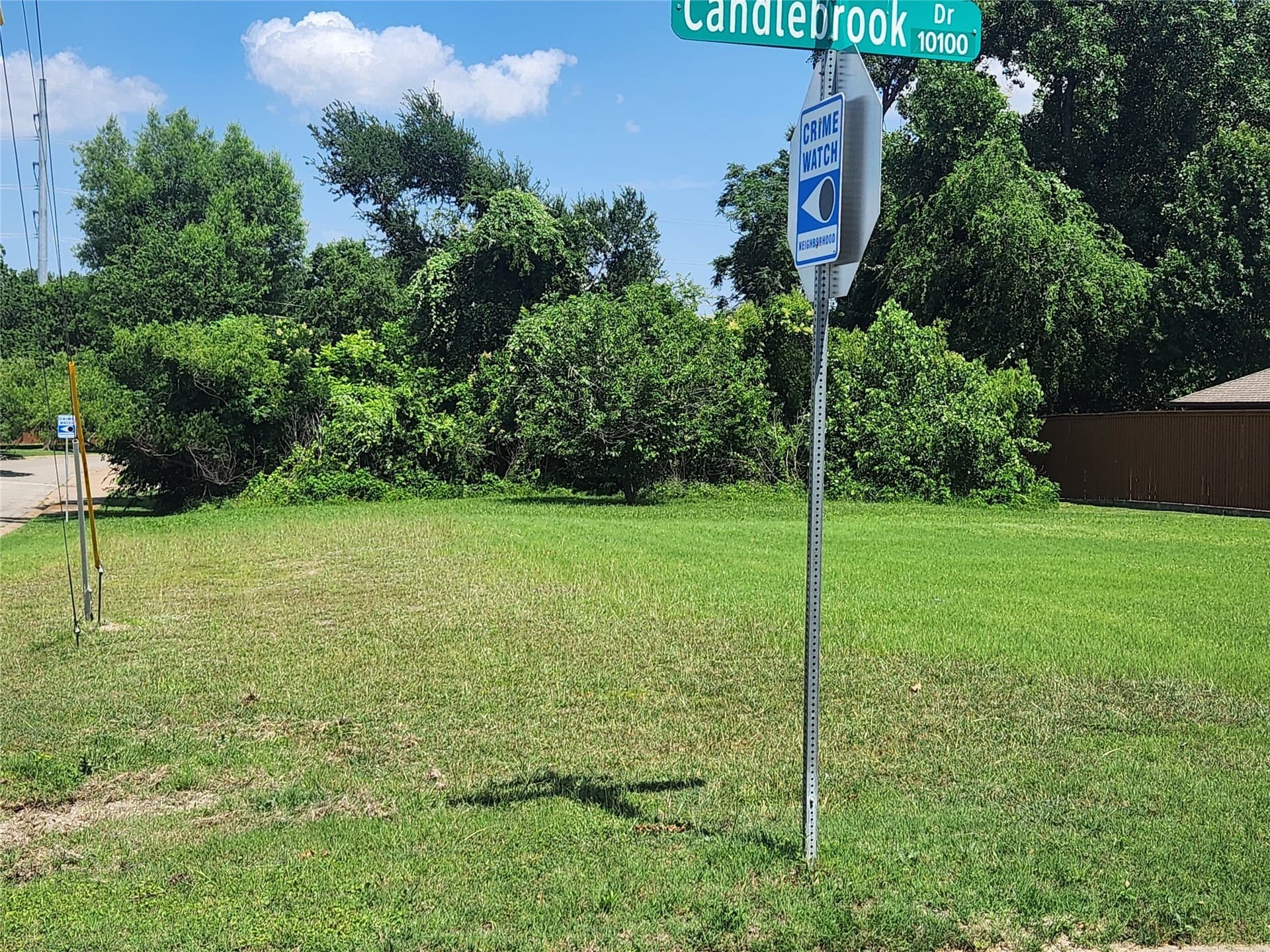 0.29 acres in Dallas County gallery image 2