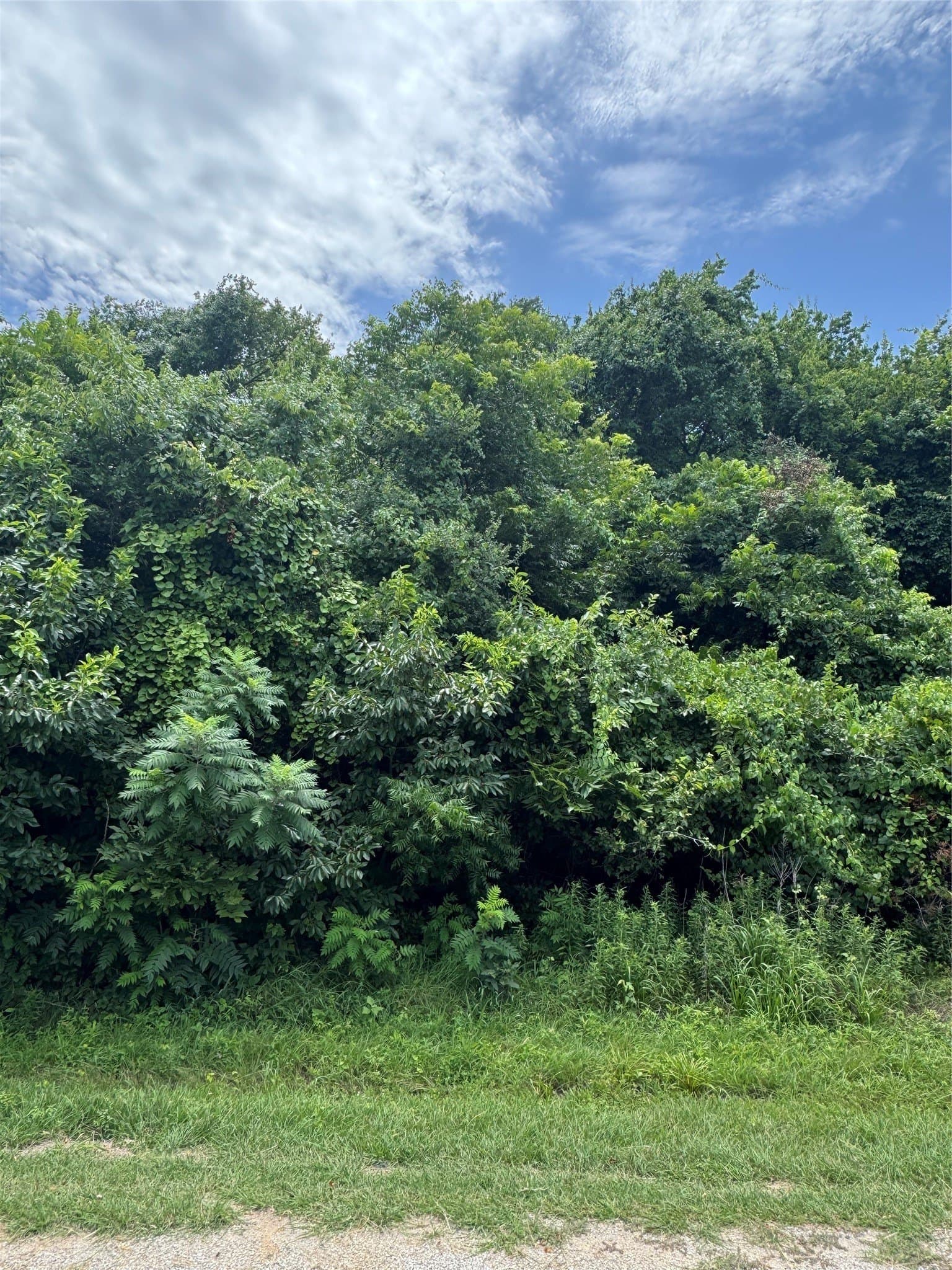 0.35 acres in Hill County