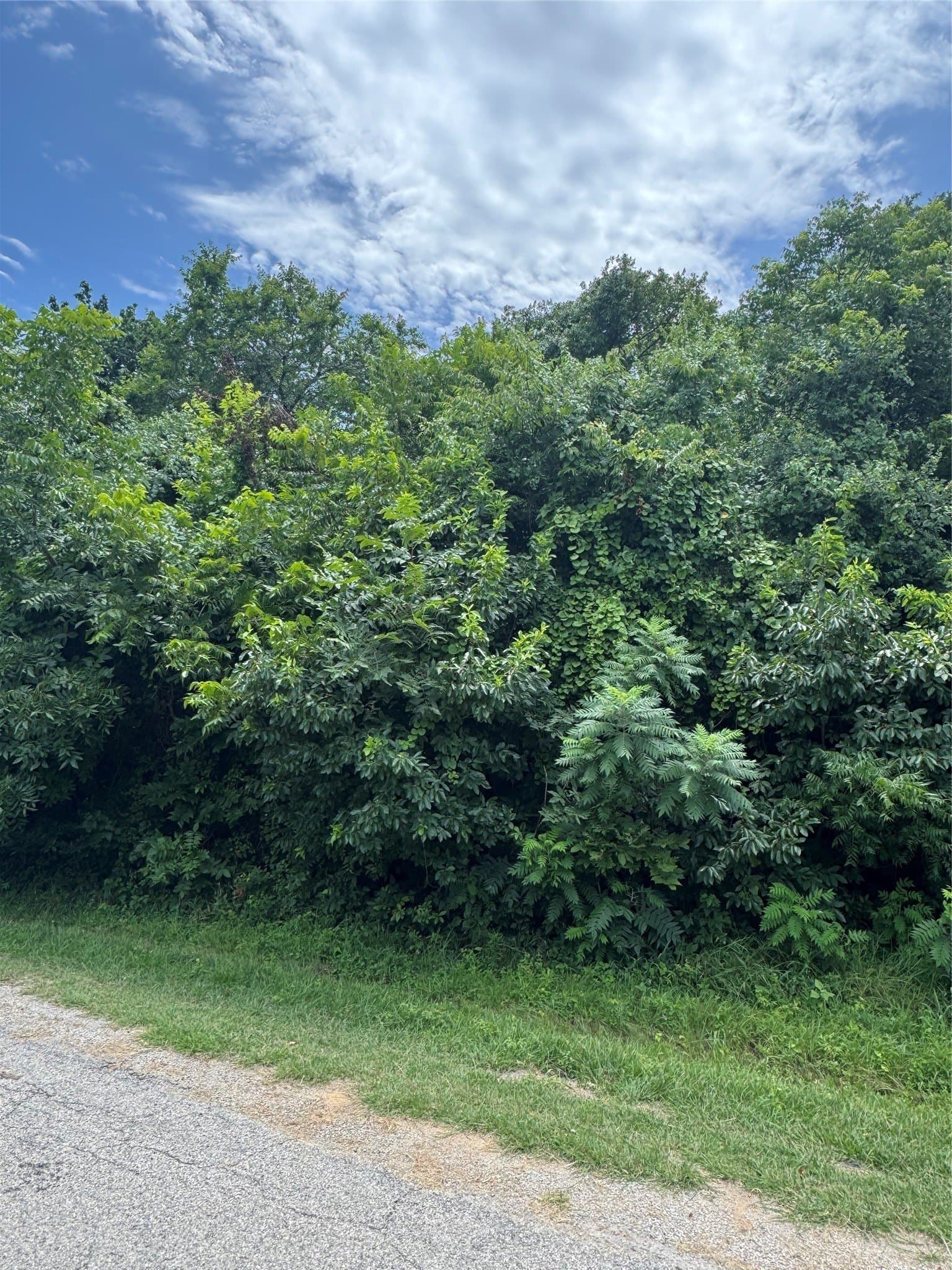 0.35 acres in Hill County - photo 2