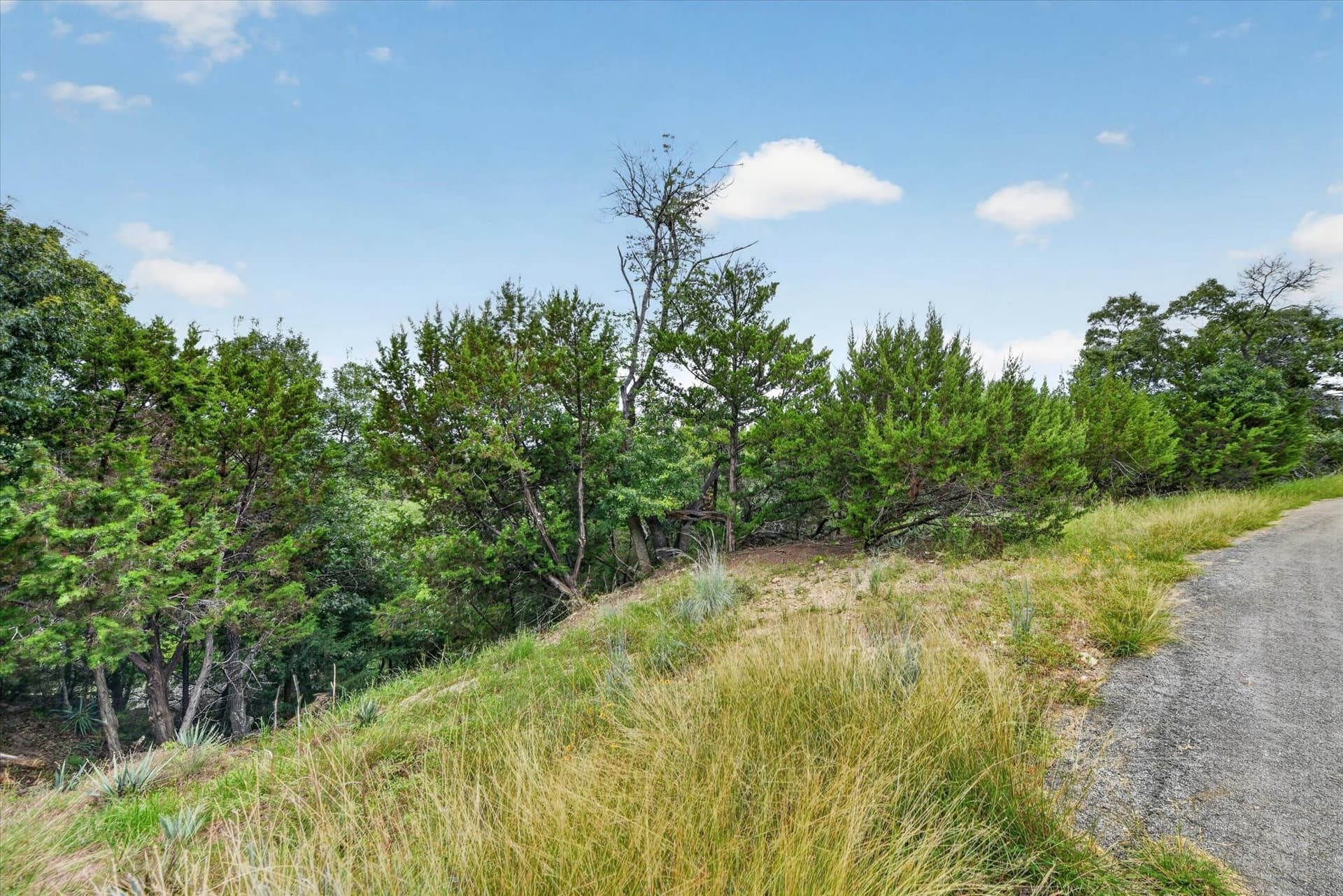 0.41 acres in Parker County - photo 25