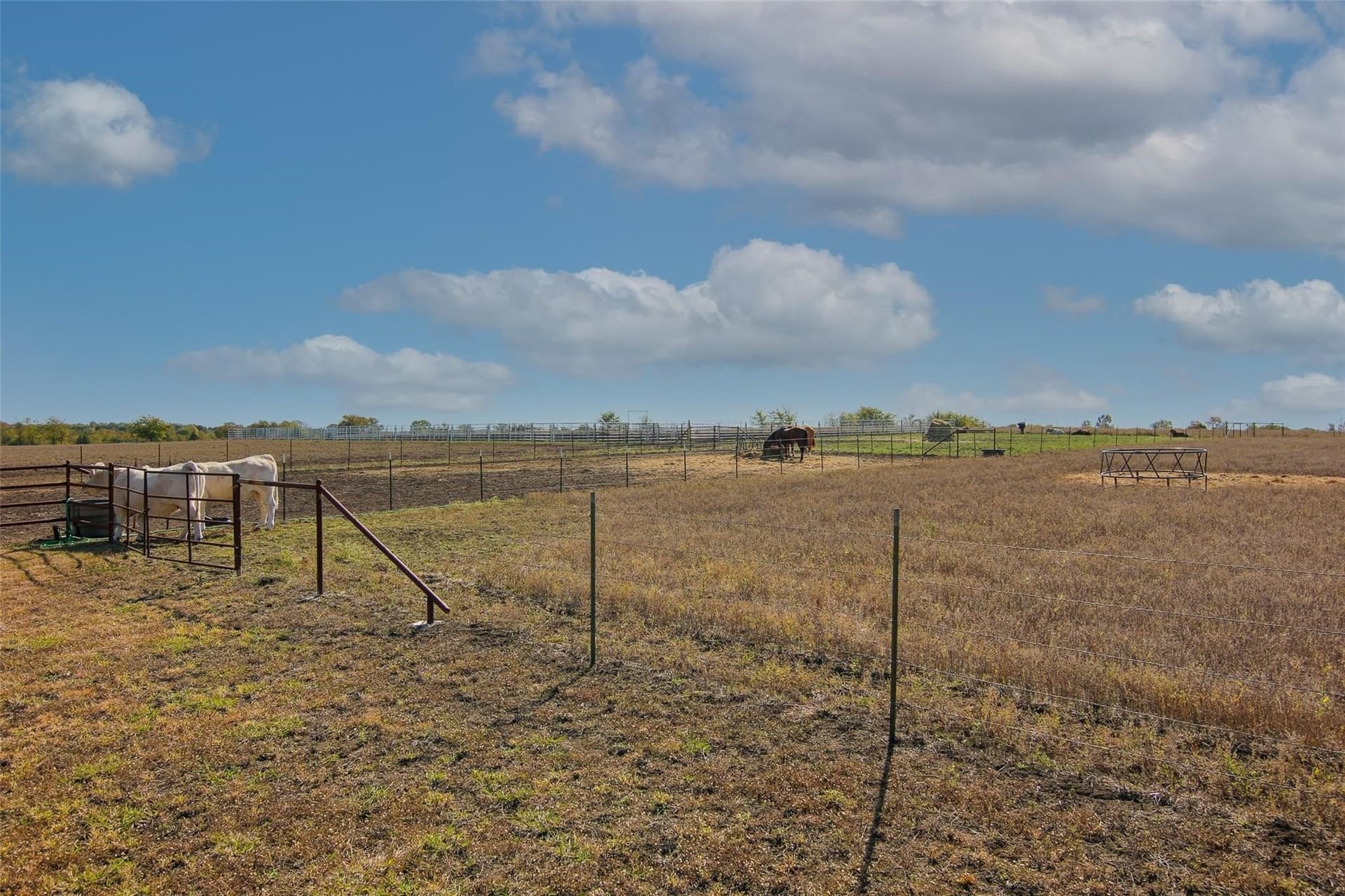 19.87 acres in Grayson County - photo 32