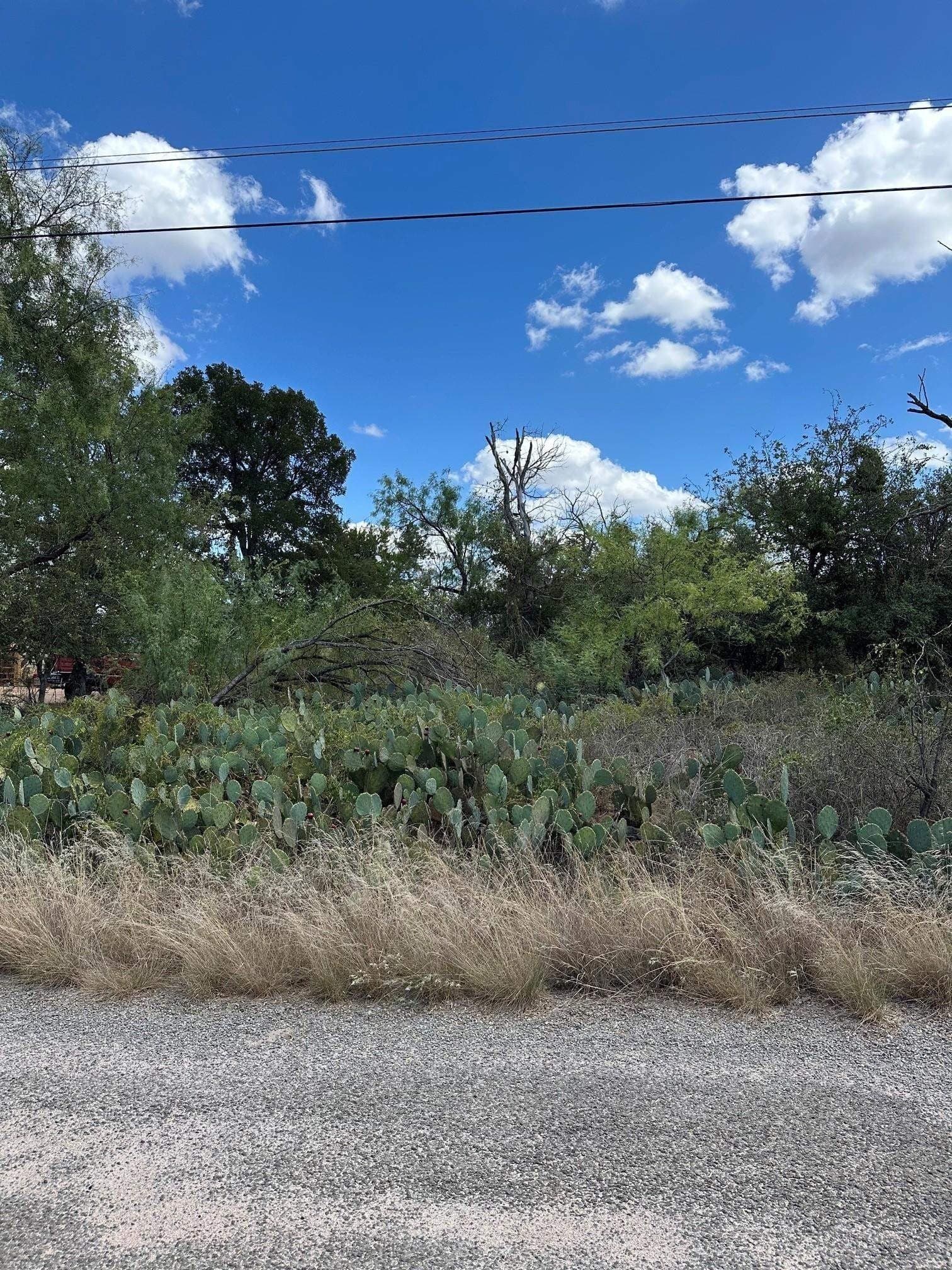 0.22 acres in Burnet County