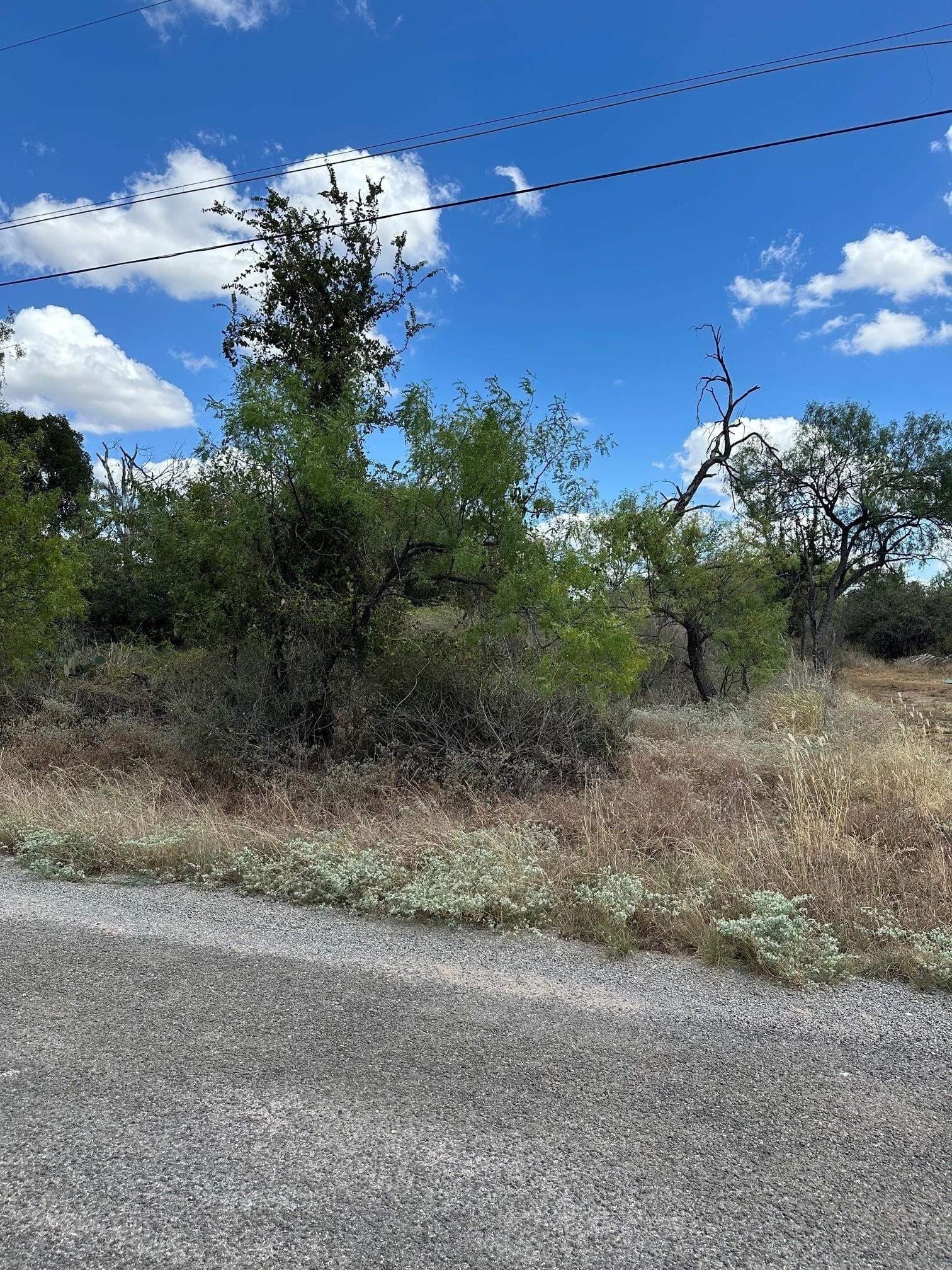 0.22 acres in Burnet County - photo 3