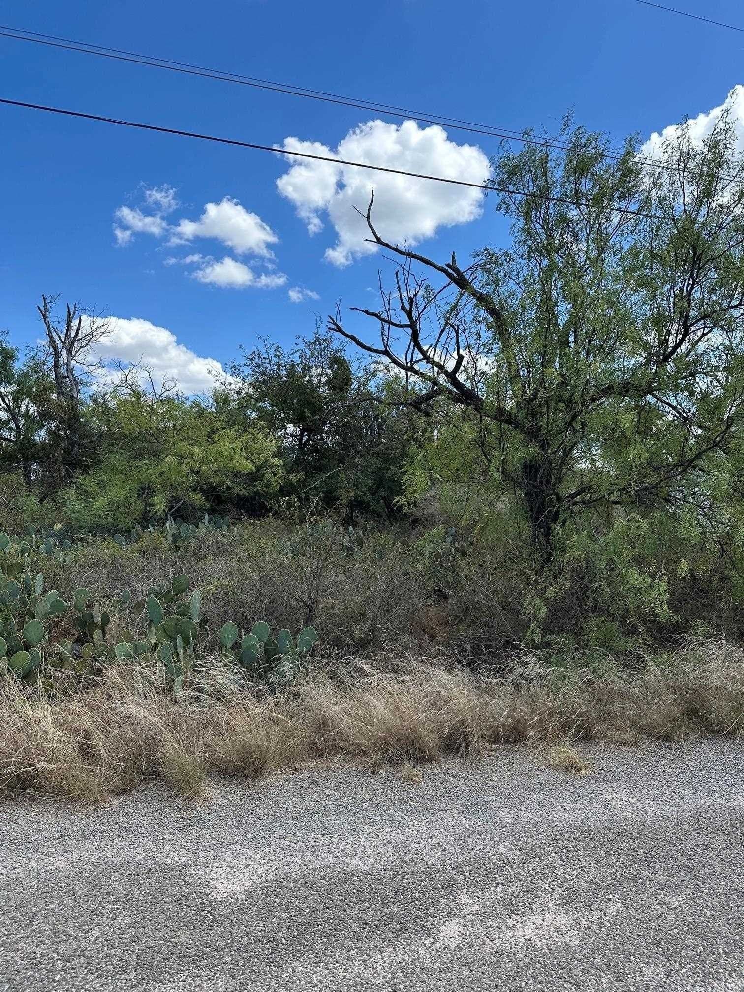 0.22 acres in Burnet County - photo 2