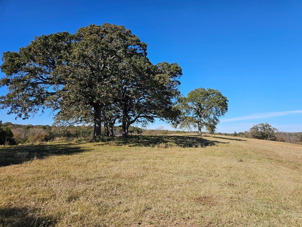 60.54 acres in Henderson County gallery image 4