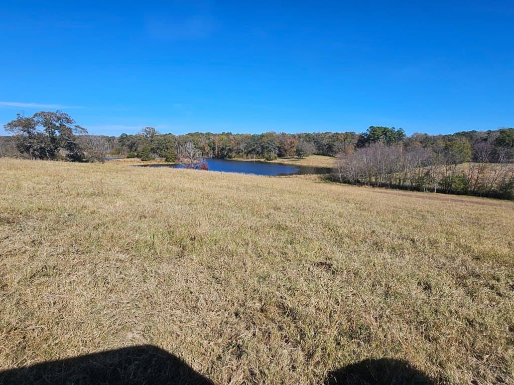 60.54 acres in Henderson County featured view