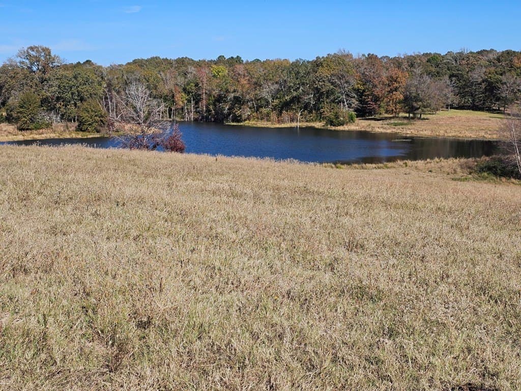60.54 acres in Henderson County gallery image 3