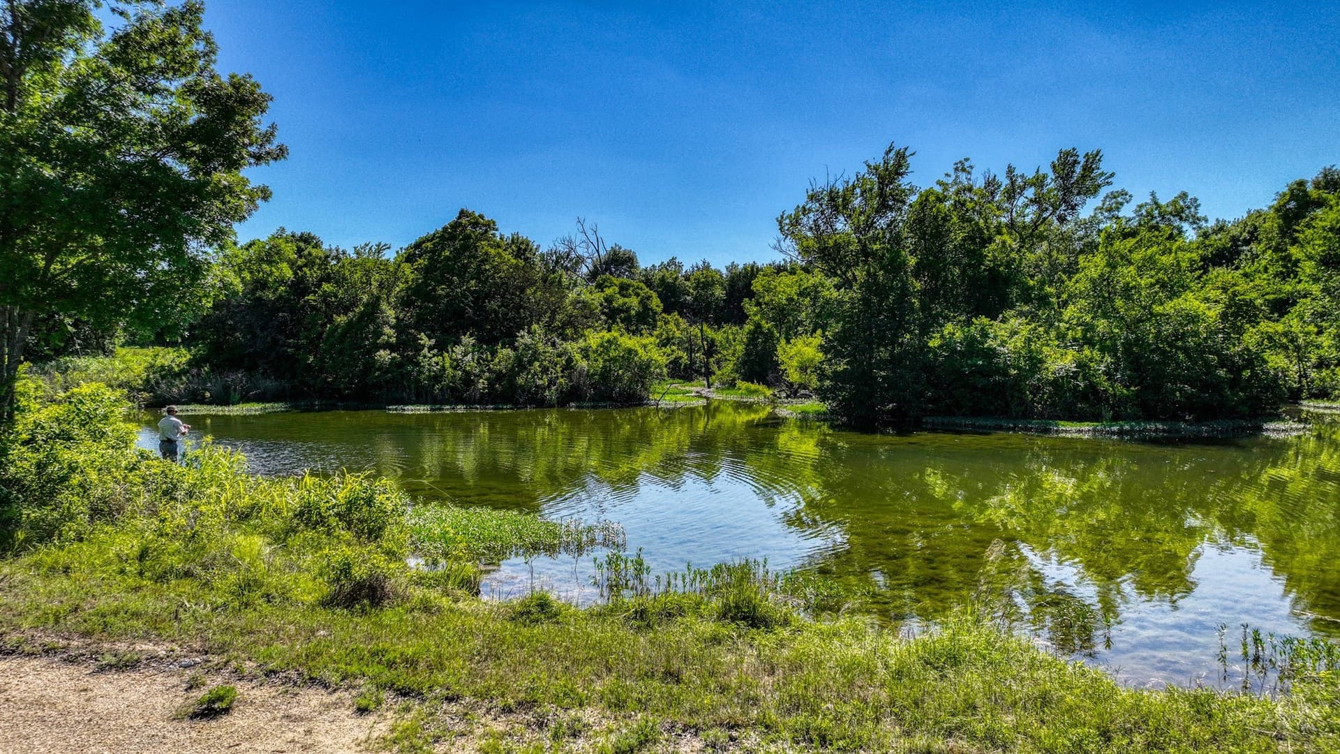 1,150.74 acres in Erath County - photo 11