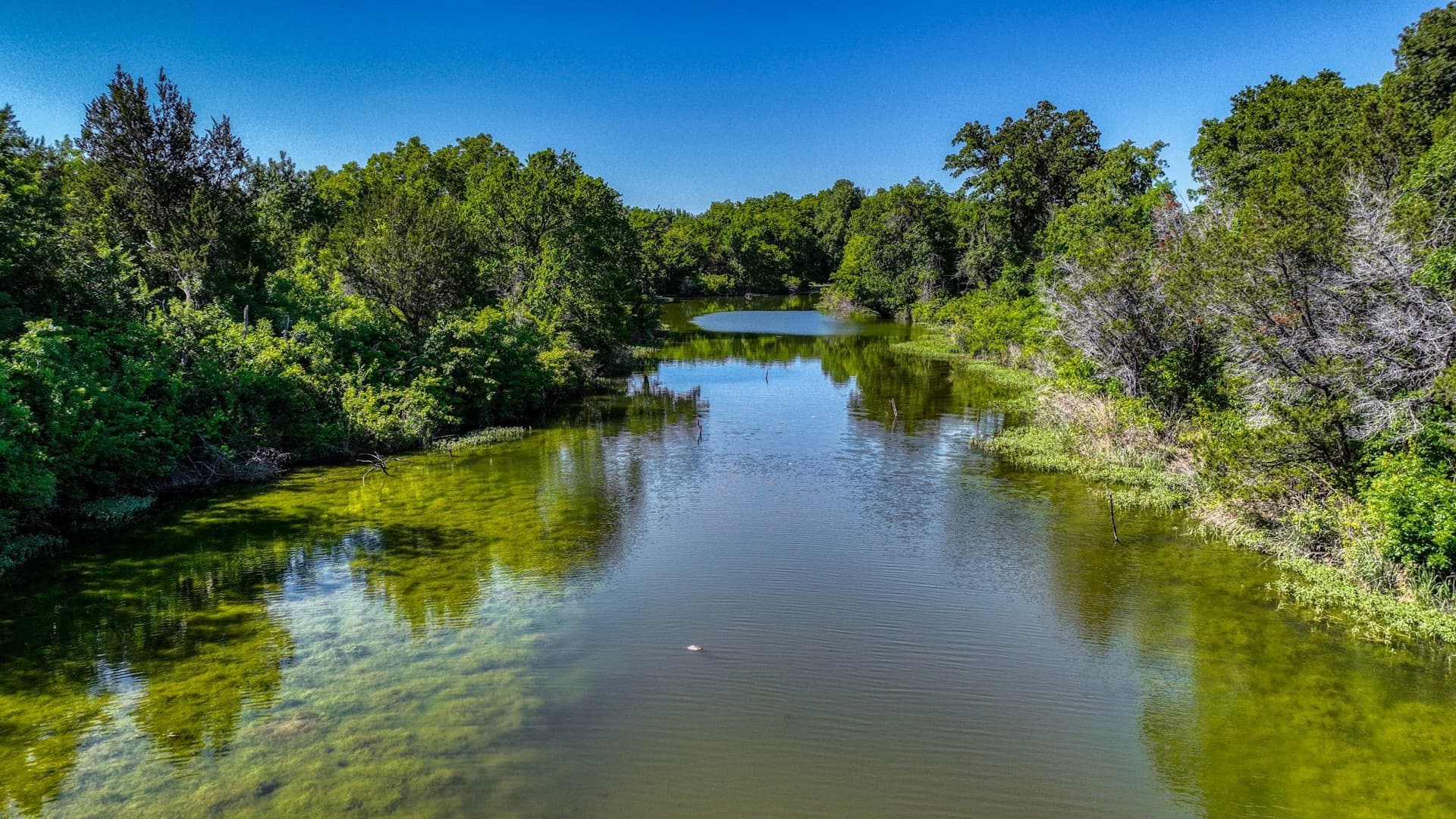 1,150.74 acres in Erath County - photo 22