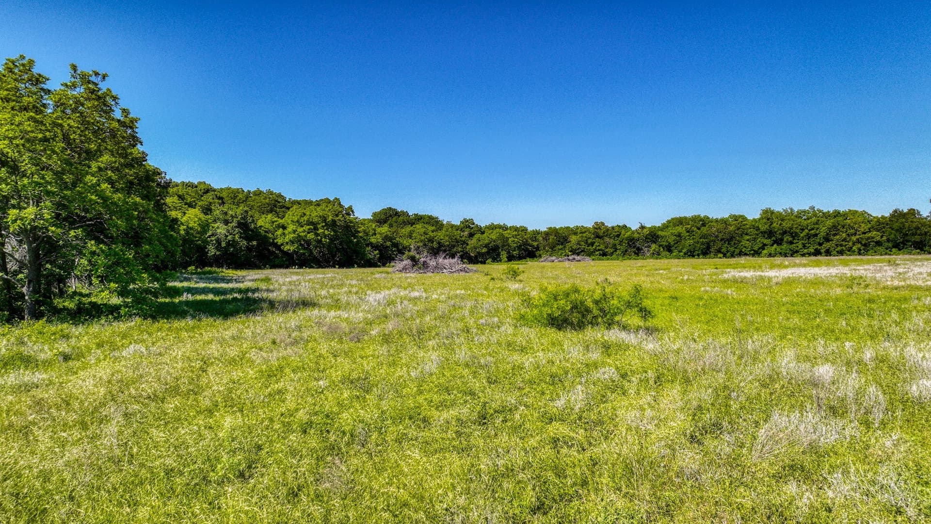 1,150.74 acres in Erath County - photo 37