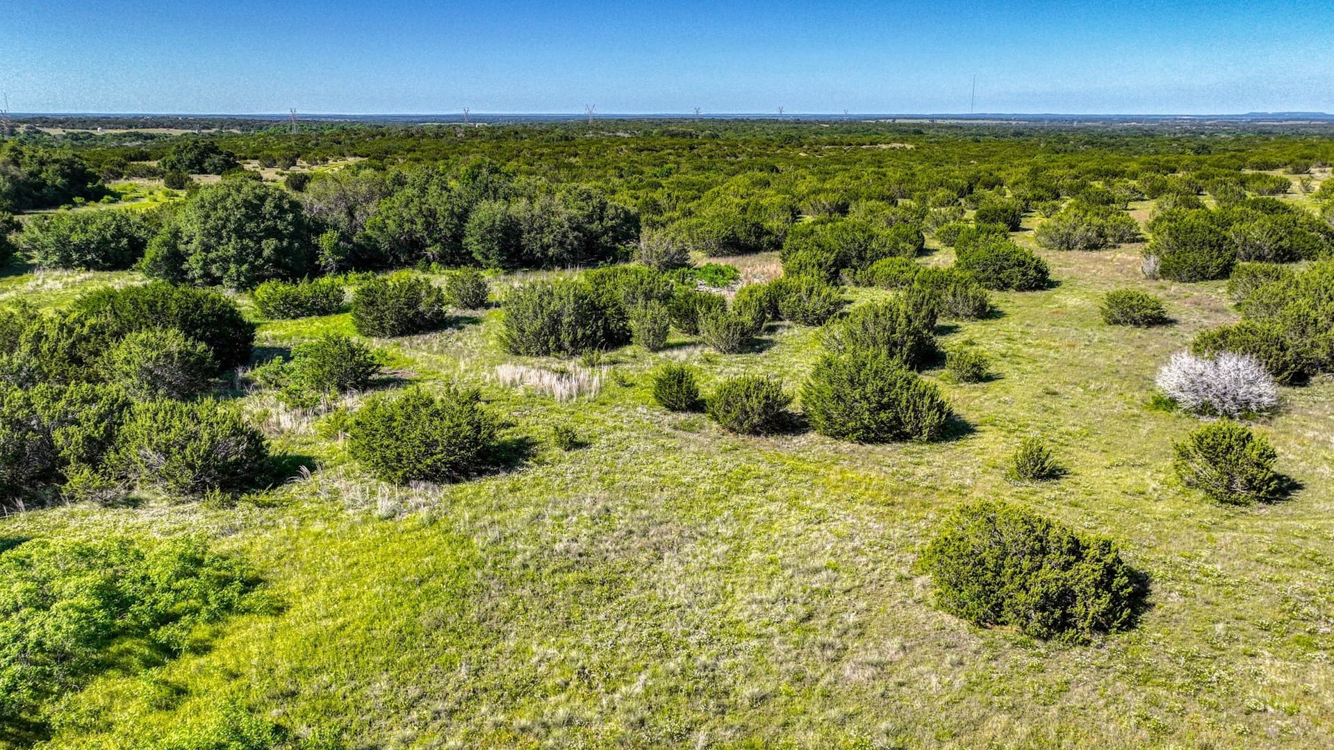 1,150.74 acres in Erath County - photo 35