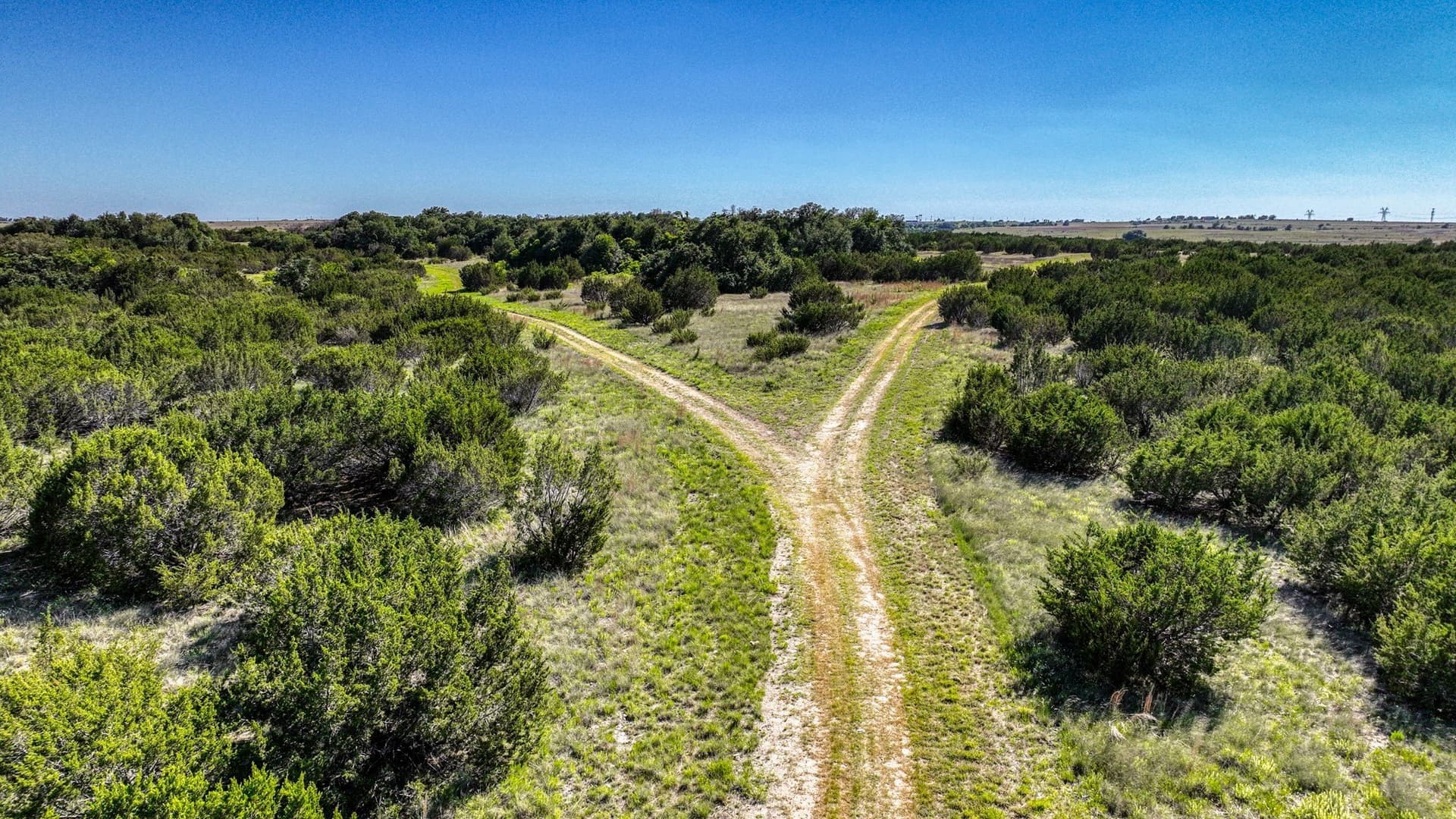 1,150.74 acres in Erath County - photo 21