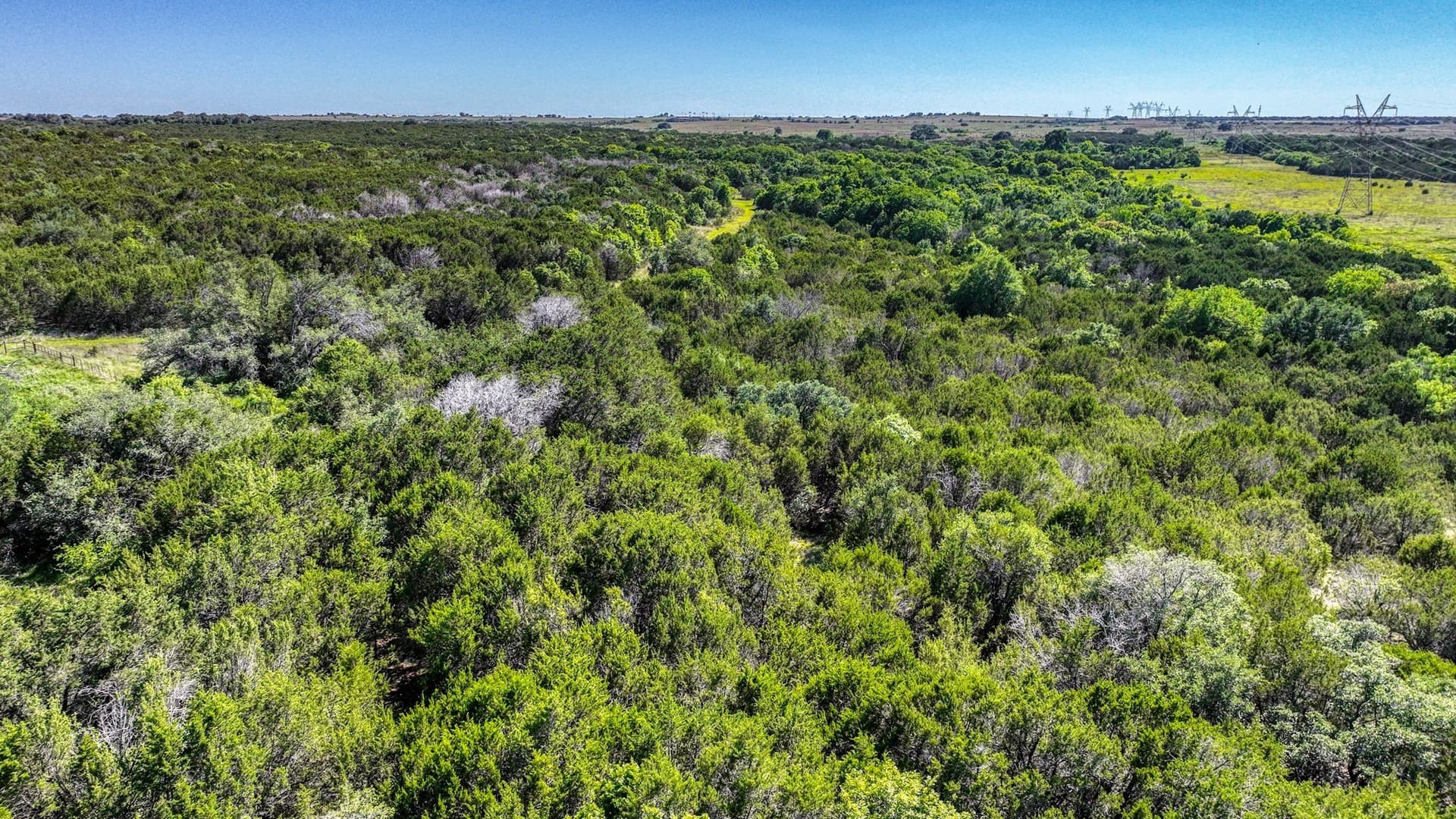 1,150.74 acres in Erath County - photo 16