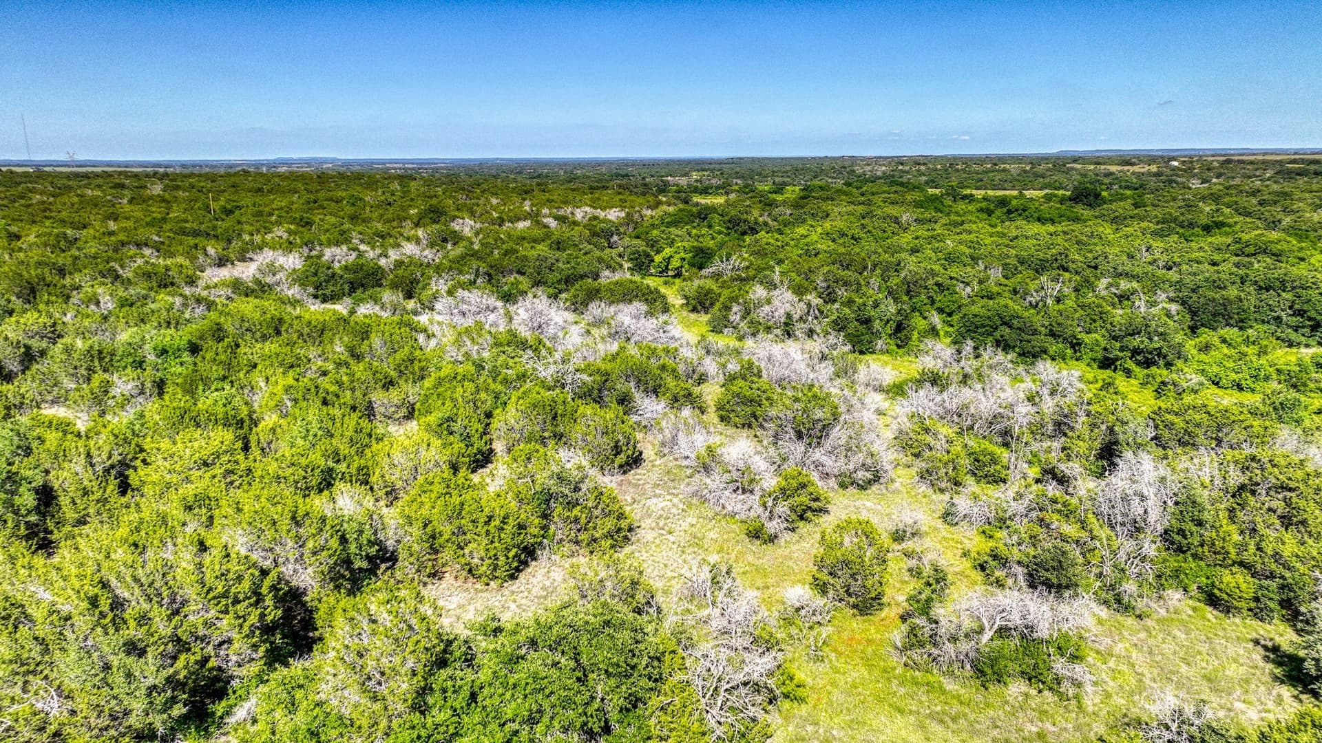 1,150.74 acres in Erath County - photo 32