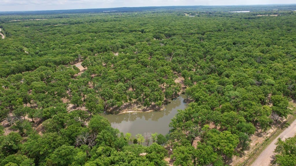 4.03 acres in Henderson County - photo 10