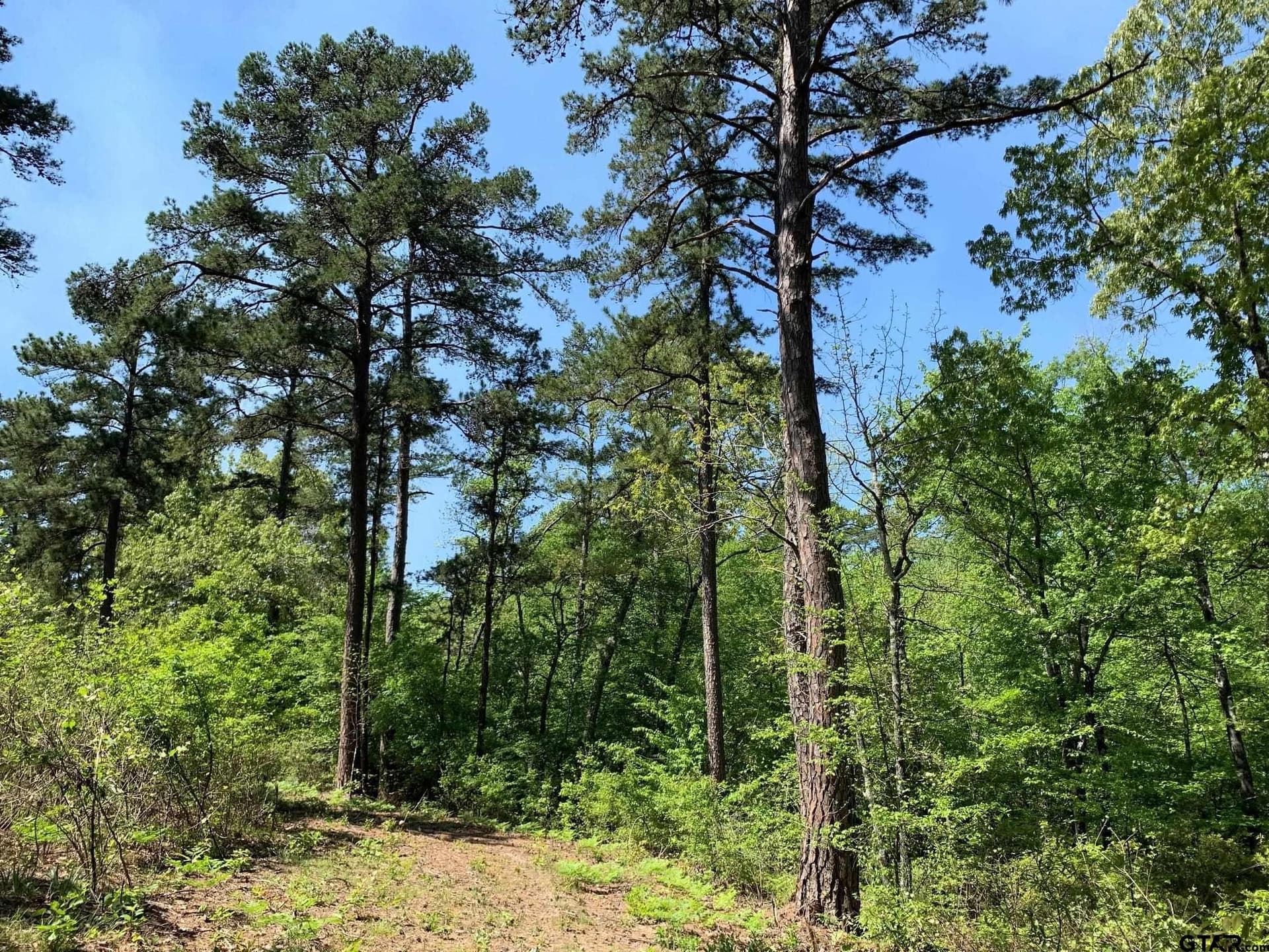 22.38 acres in Henderson County - photo 26