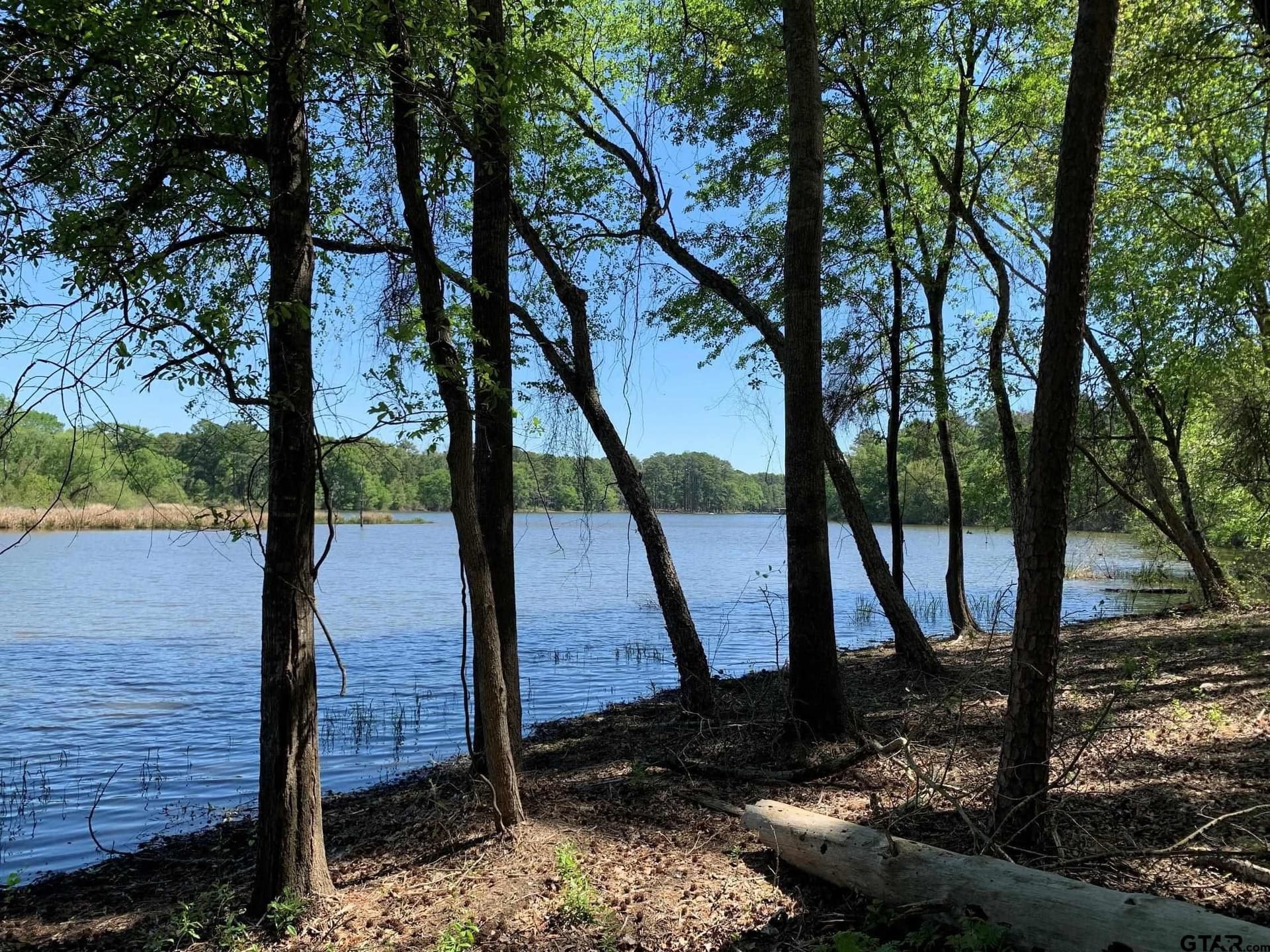 22.38 acres in Henderson County - photo 14
