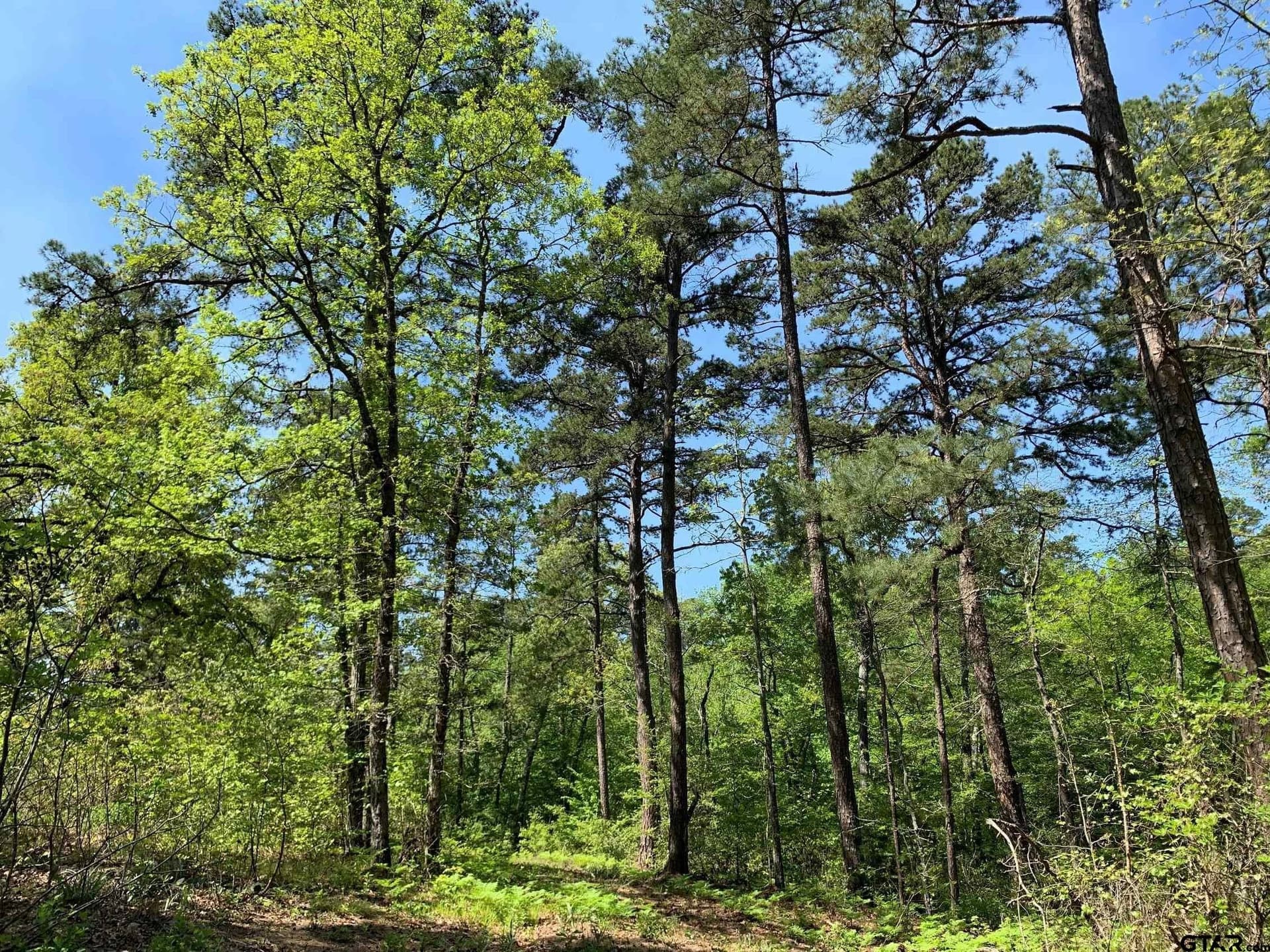22.38 acres in Henderson County - photo 28