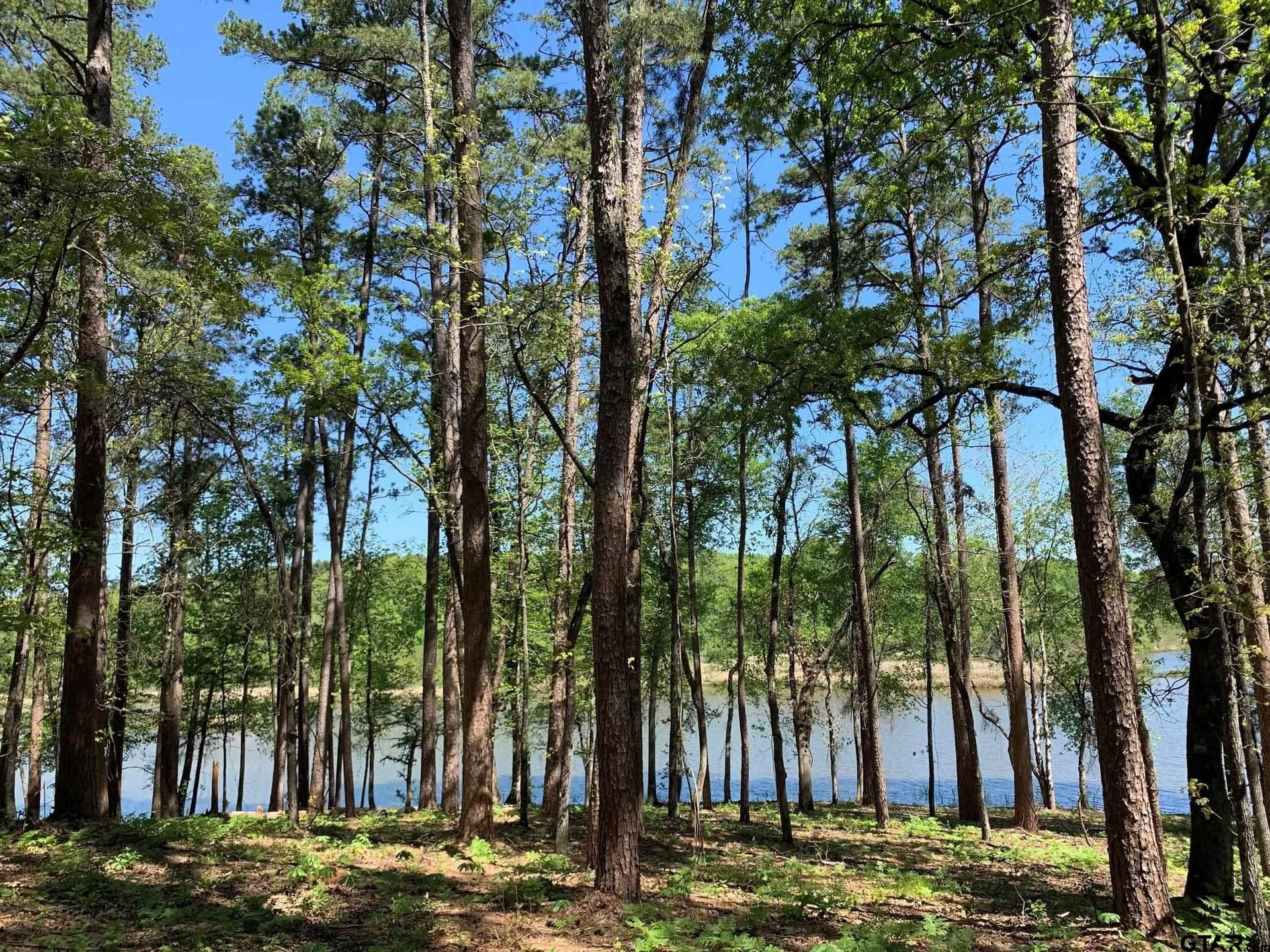 22.38 acres in Henderson County - photo 7