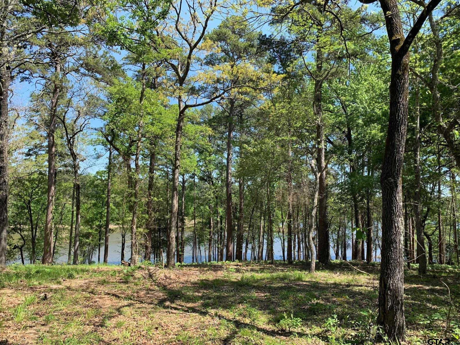 22.38 acres in Henderson County - photo 18