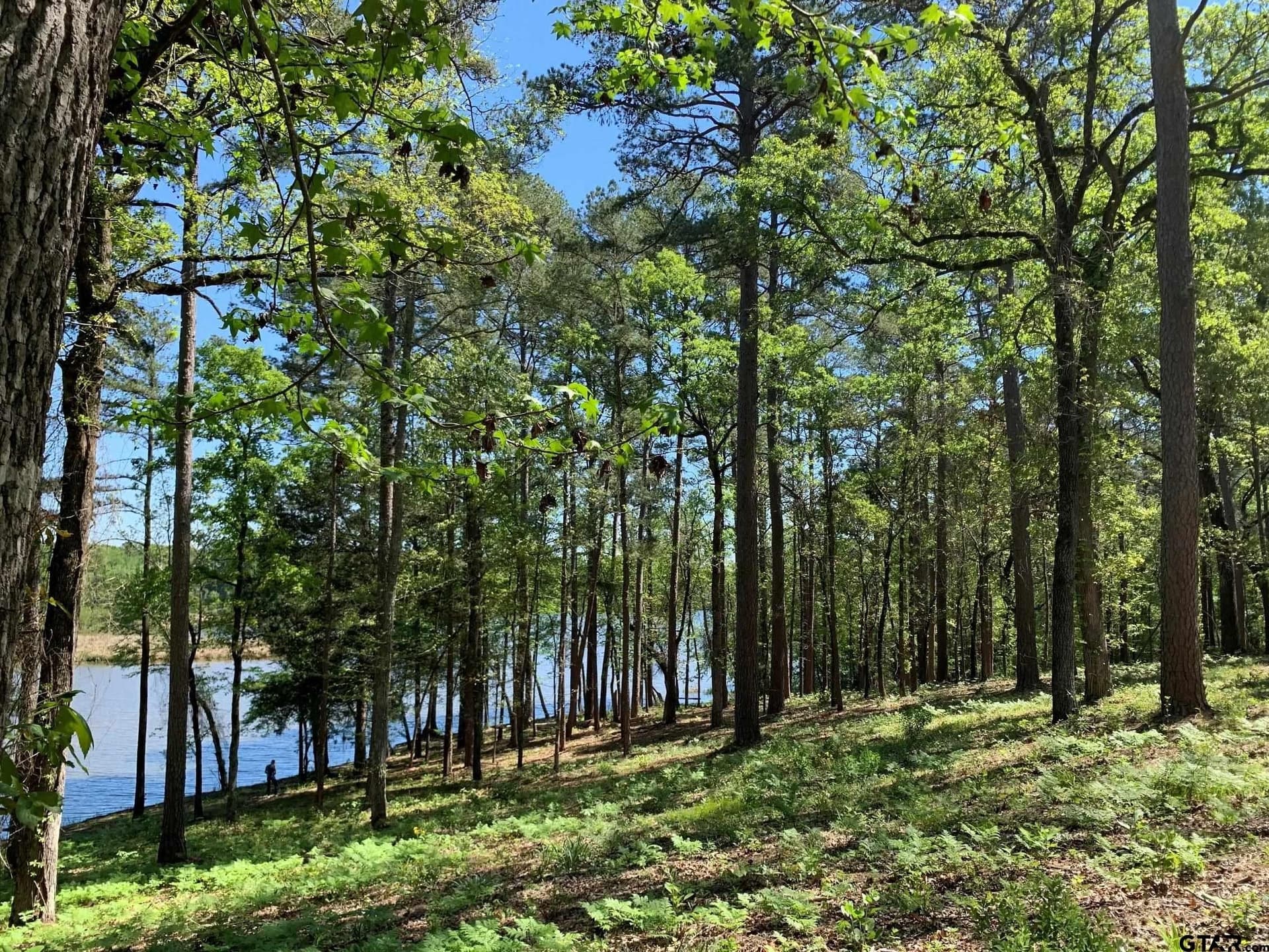22.38 acres in Henderson County - photo 21