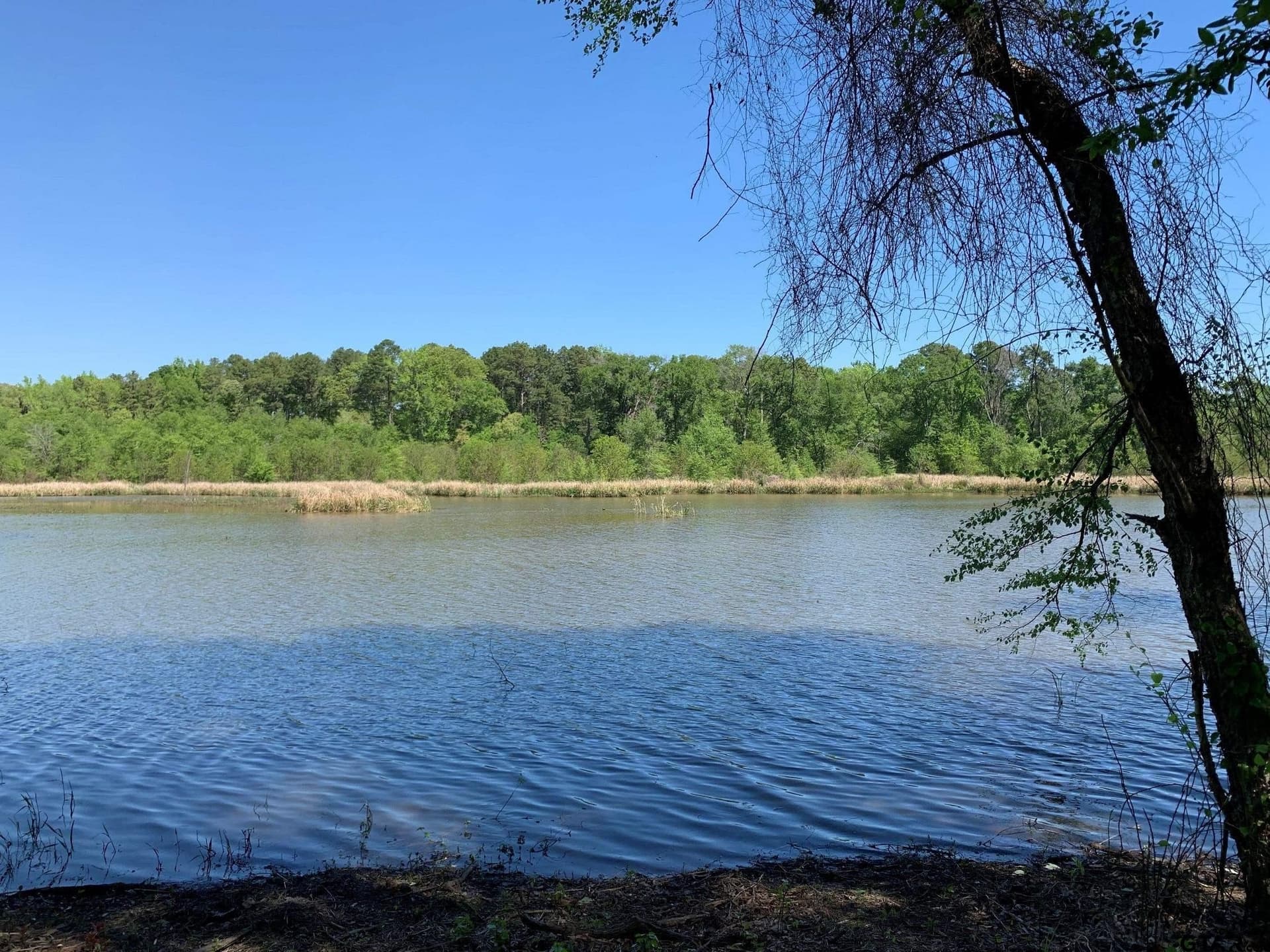 22.38 acres in Henderson County - photo 6