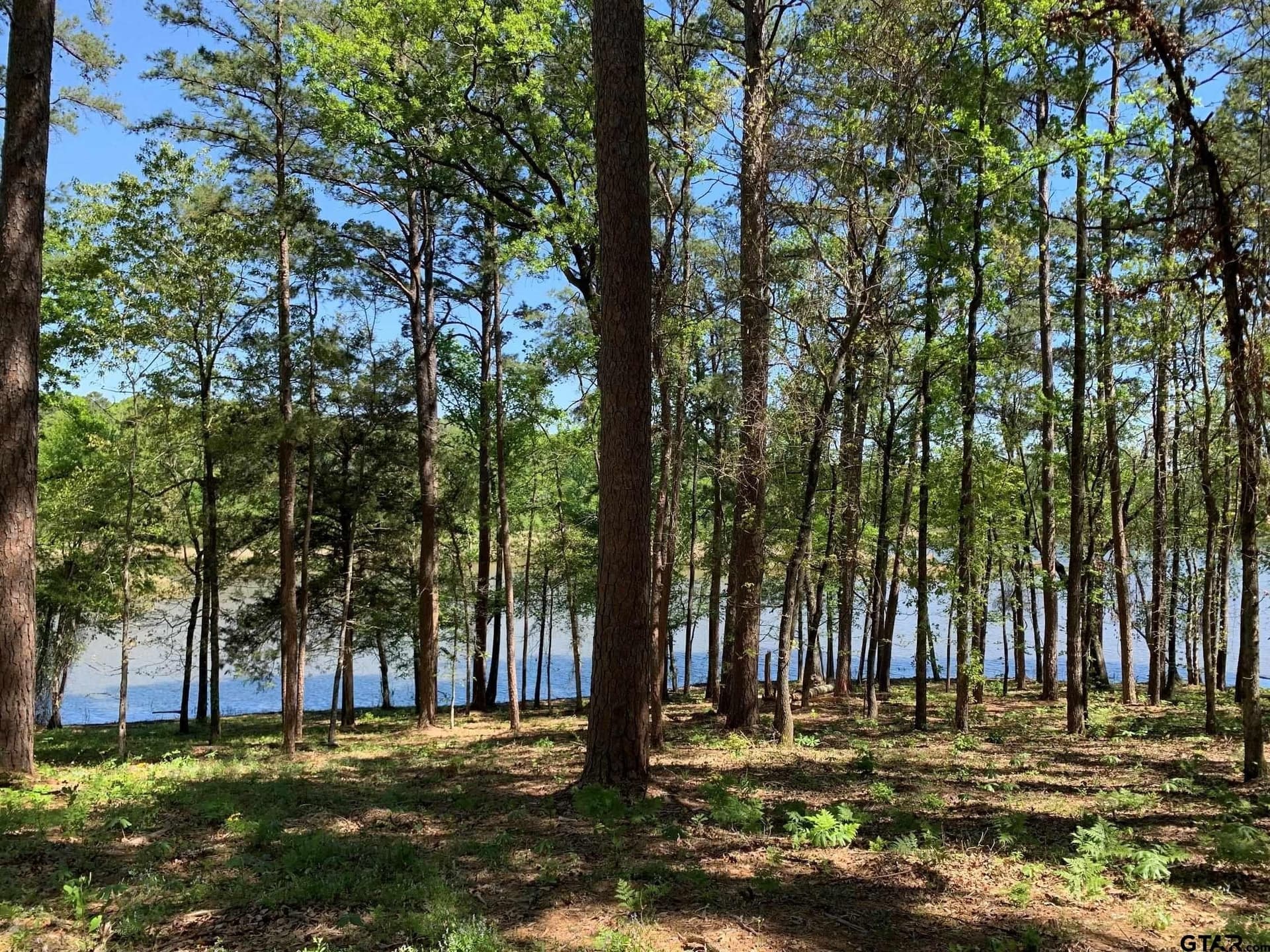 22.38 acres in Henderson County - photo 17