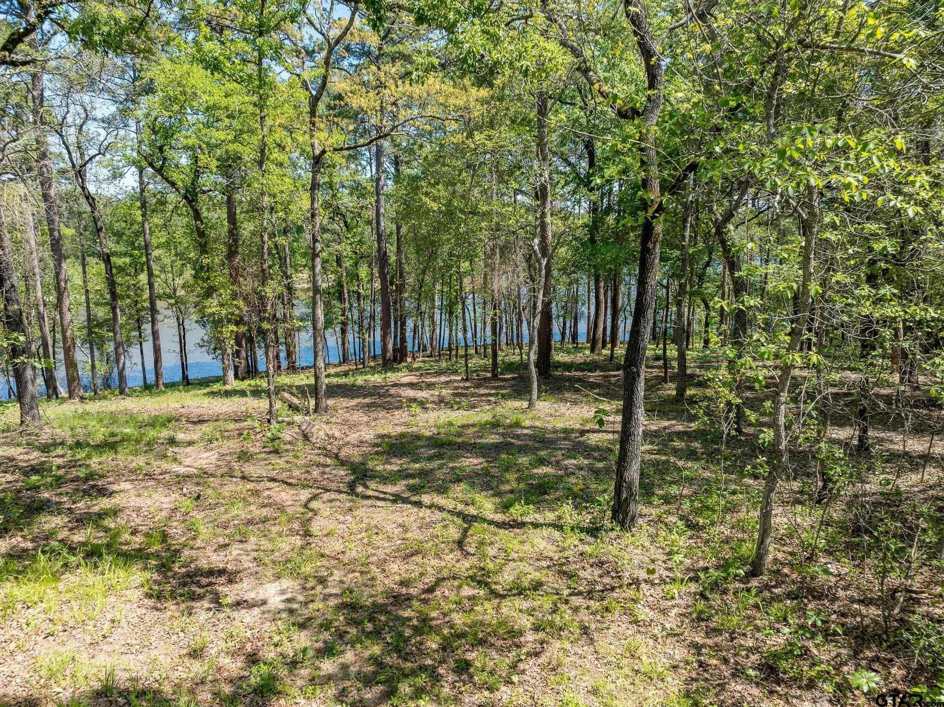 22.38 acres in Henderson County - photo 20